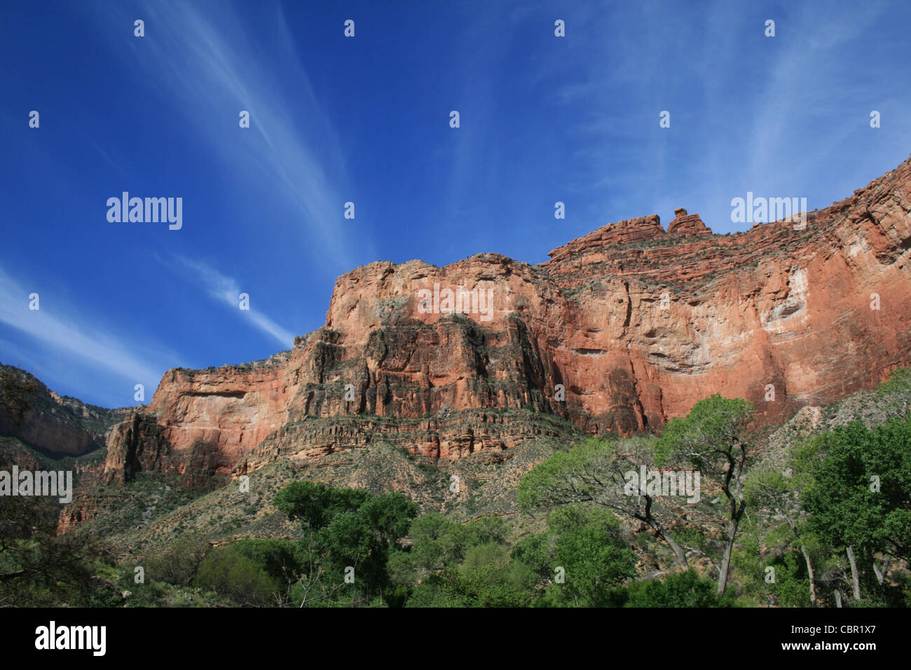 View up to the redwall limestone from Indian Gardens along the Bright Angel Trail in the Grand Canyon Stock Photo