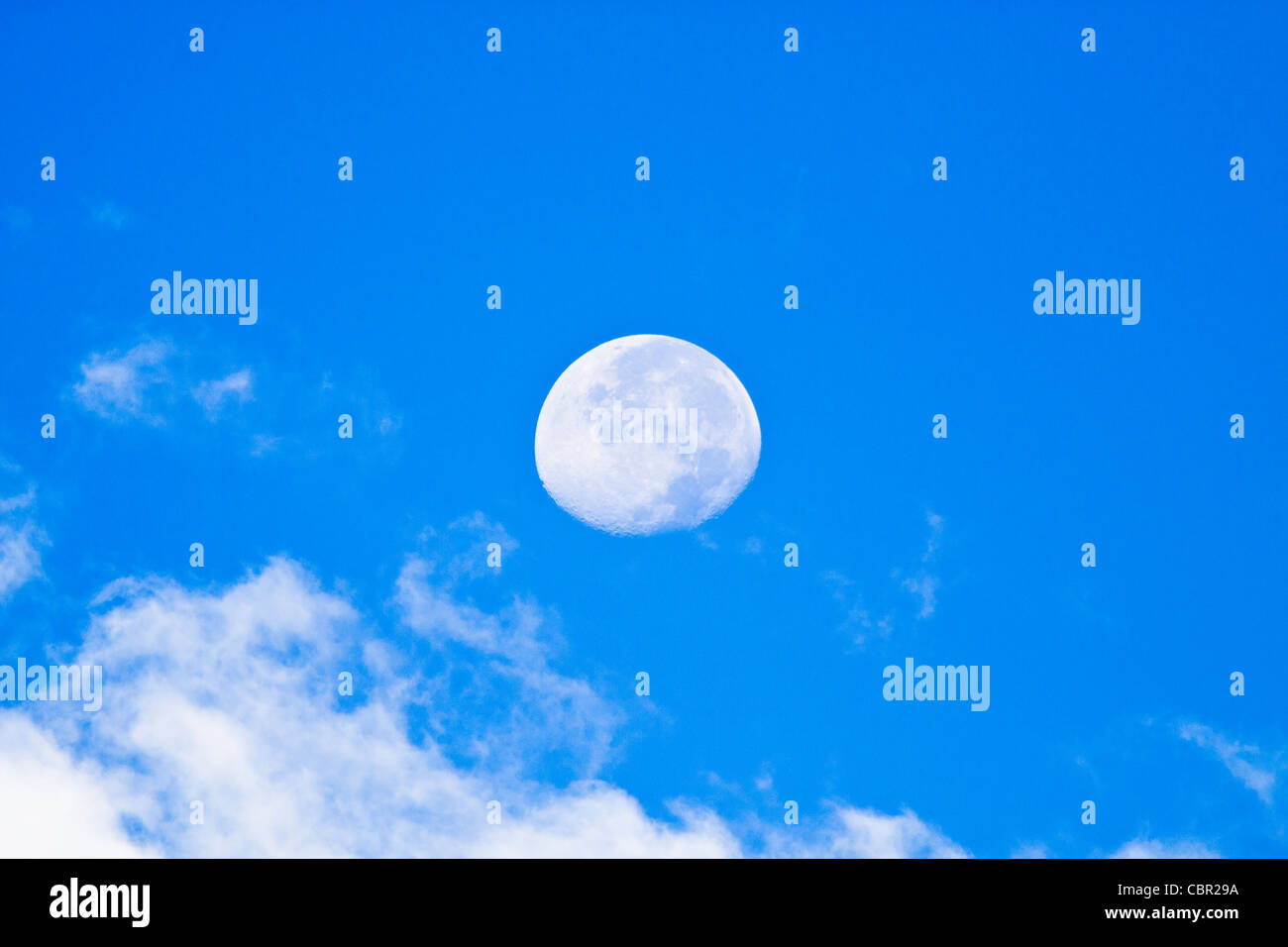 Early morning view of Moon at the horizon, at a ranch in South Texas in October. Stock Photo
