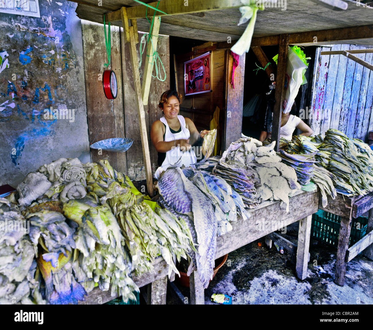 brushing fish happy in Belen Stock Photo - Alamy