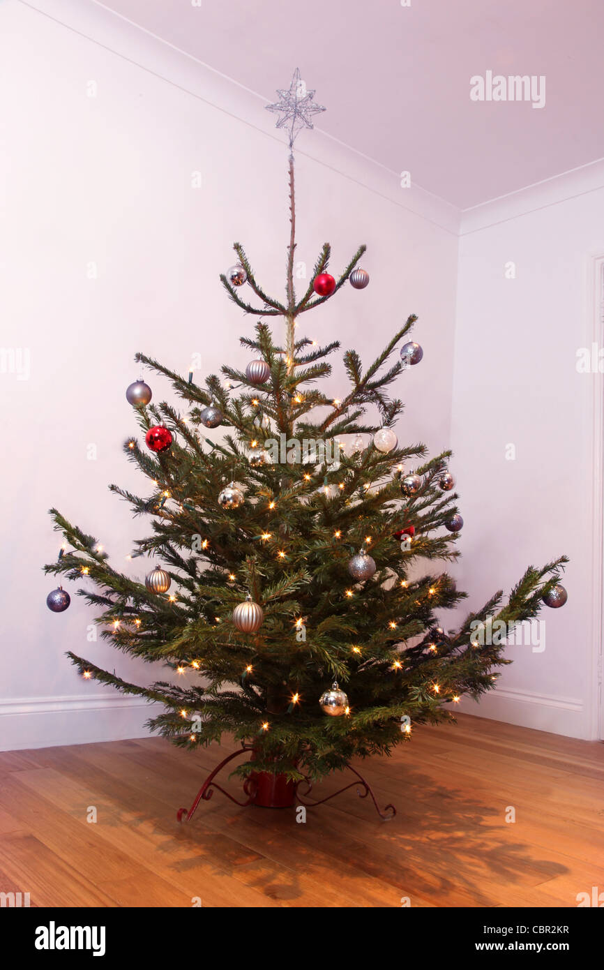 A Christmas tree indoors, set in a room with white walls and a wooden