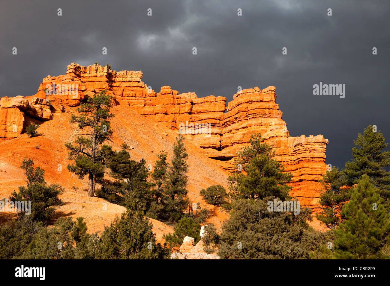 Red Canyon, Dixie National Forest, Utah, USA Stock Photo