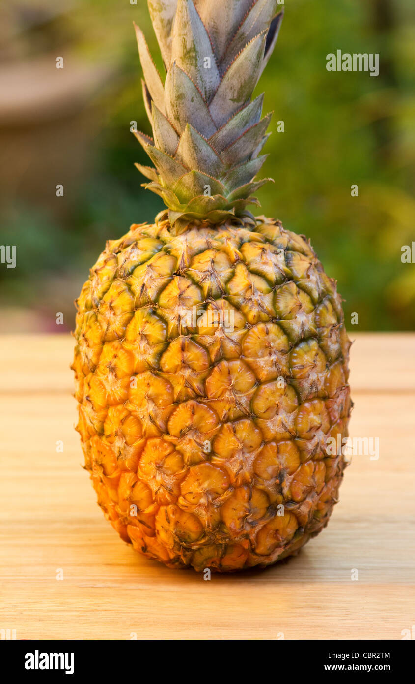 Pineapple on garden table Stock Photo