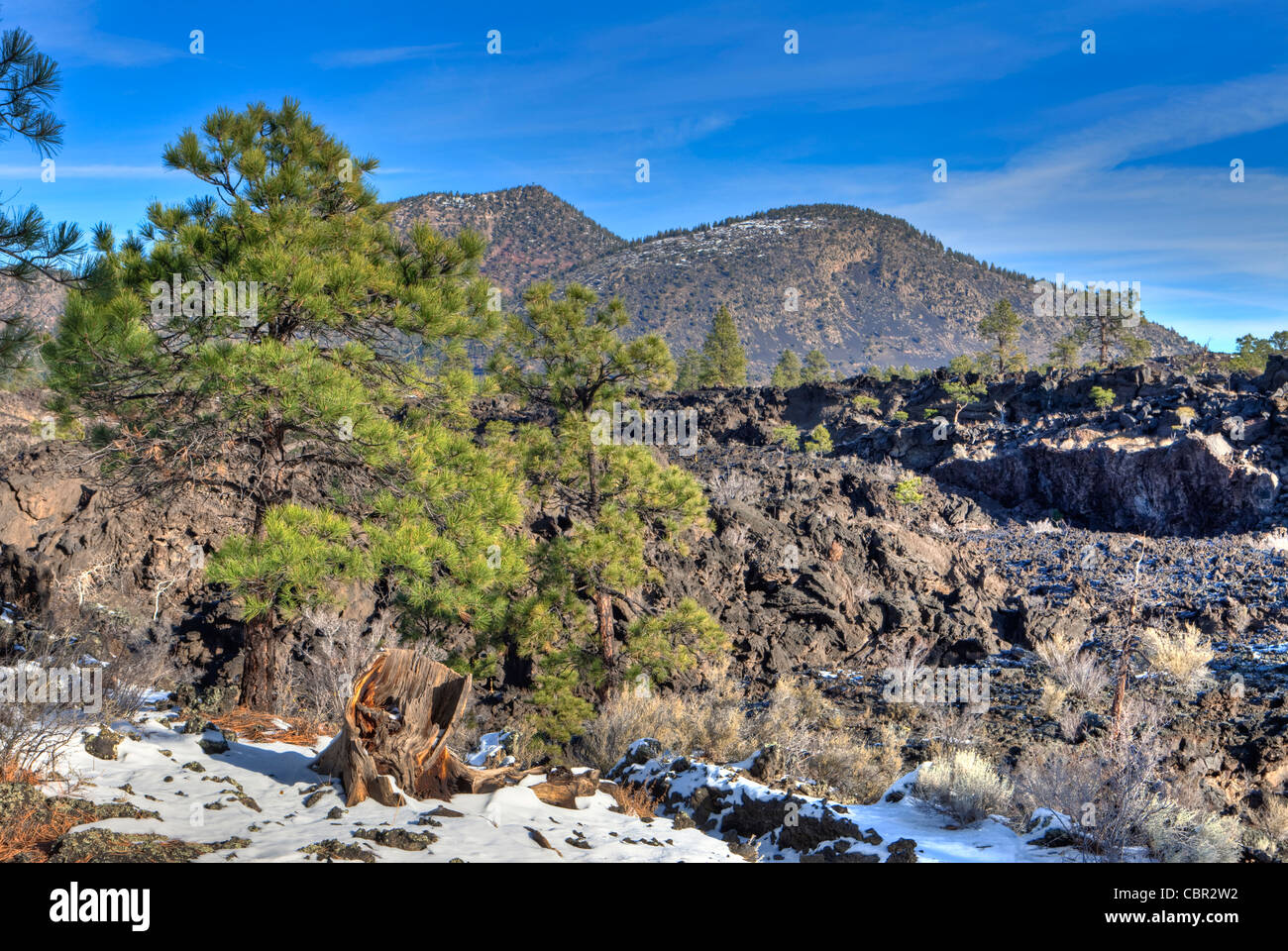 Ancient Lava Flow and Cinder Cones, Suinset Crater Volcano National