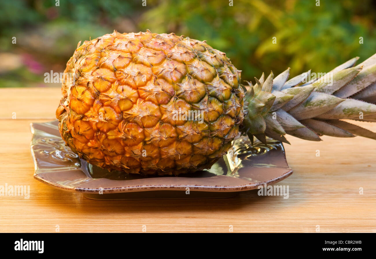 Pineapple on garden table Stock Photo