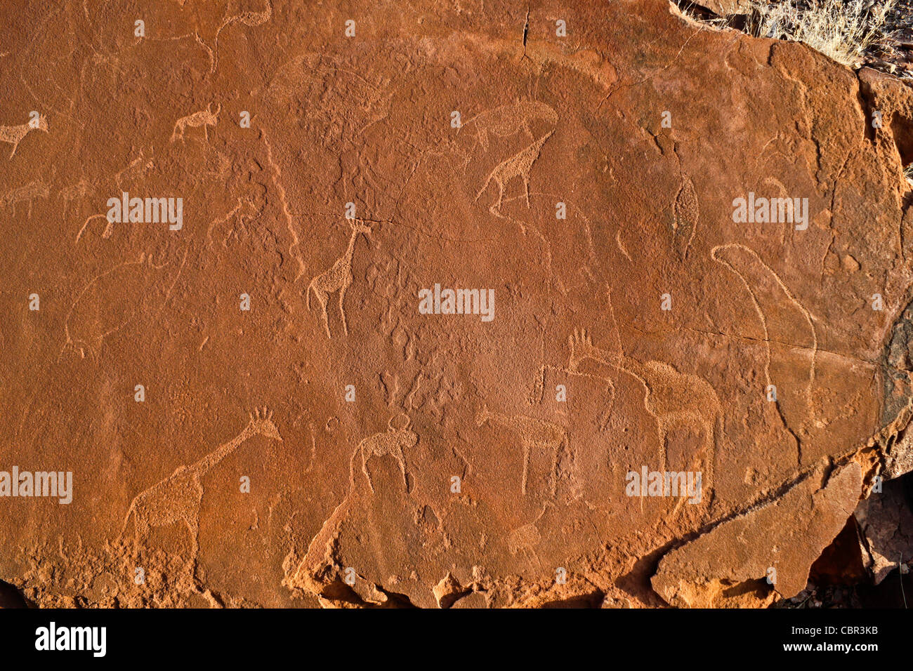 San rock art at Twyfelfontein, Namibia Stock Photo