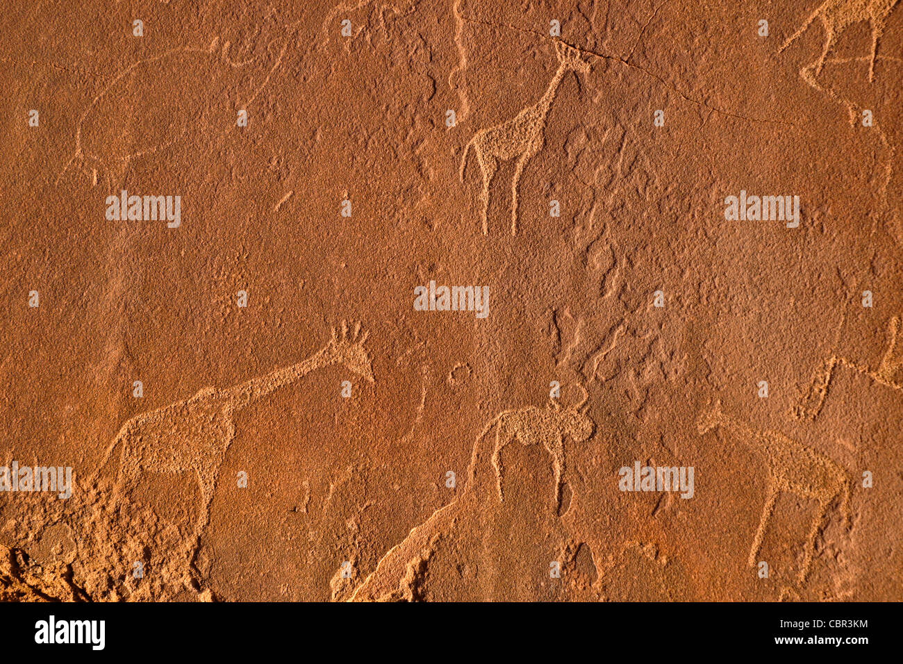 San rock art at Twyfelfontein, Namibia Stock Photo