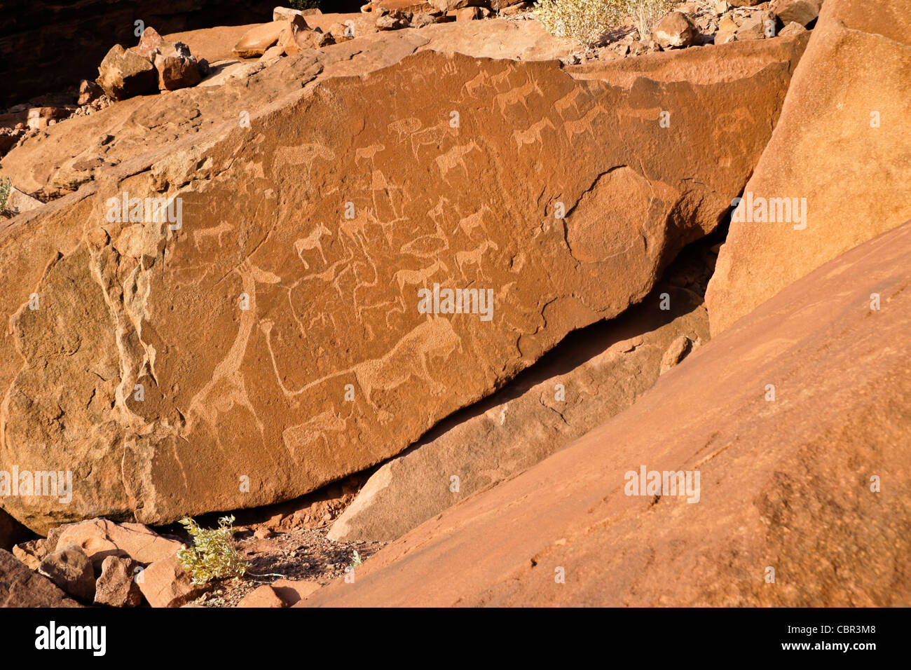 San rock art at Twyfelfontein, Namibia Stock Photo Alamy