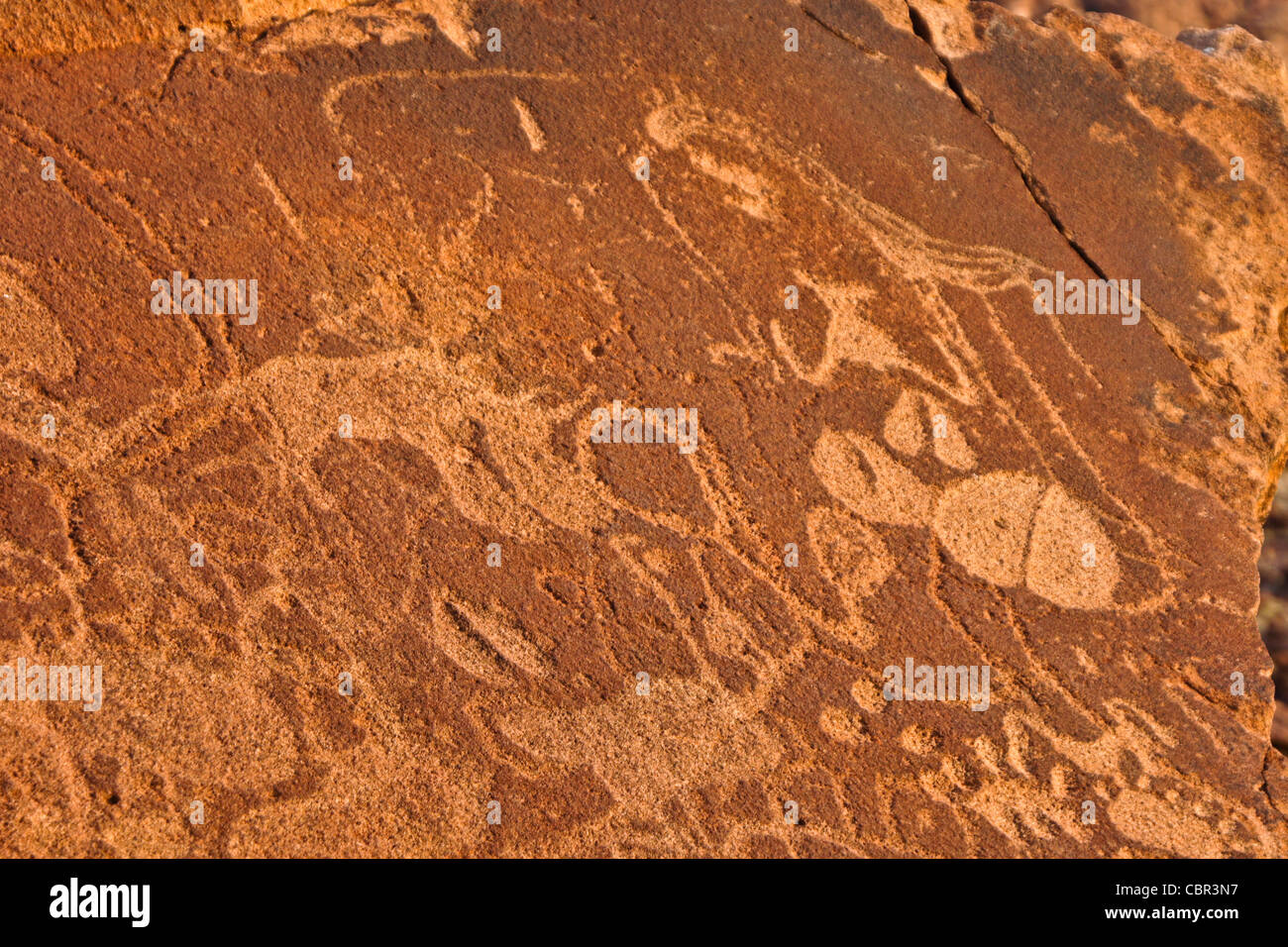 San rock art at Twyfelfontein, Namibia Stock Photo