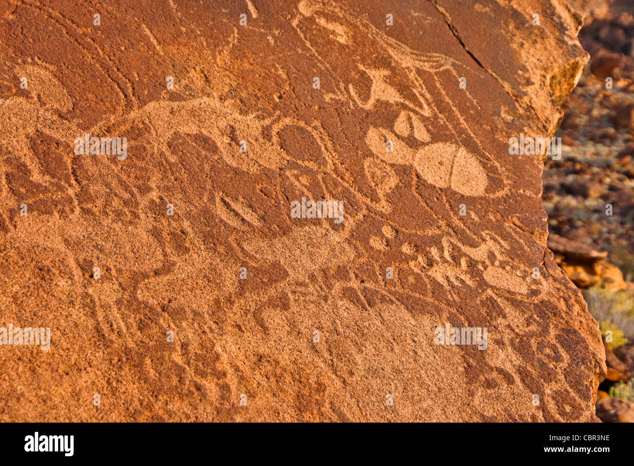 San rock art at Twyfelfontein, Namibia Stock Photo