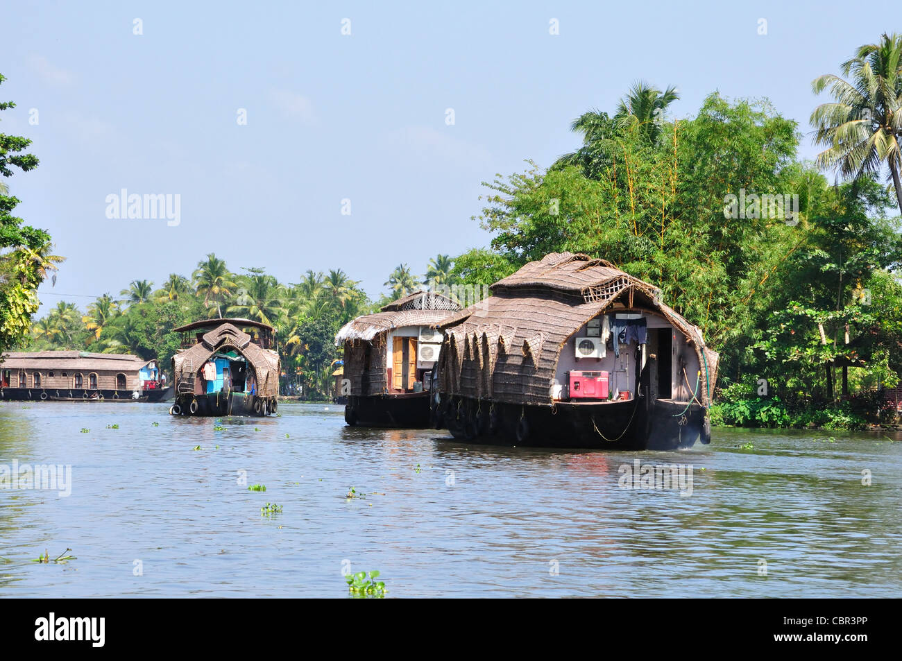 Backwater Scene in Alapuzha Stock Photo