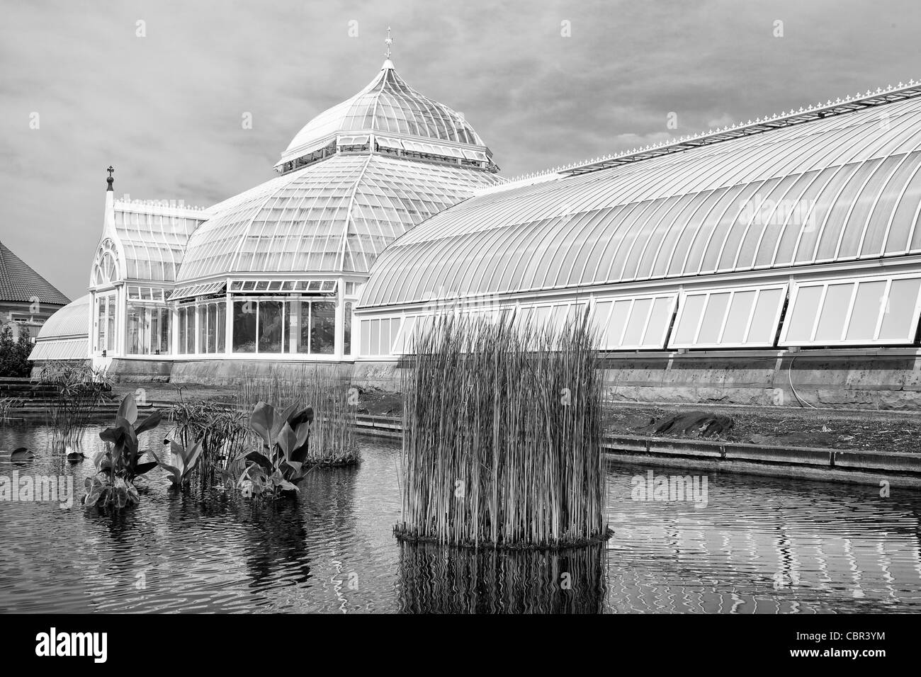 Phipps Conservatory & Botanical Garden, Pittsburgh, Pennsylvania, USA Stock Photo