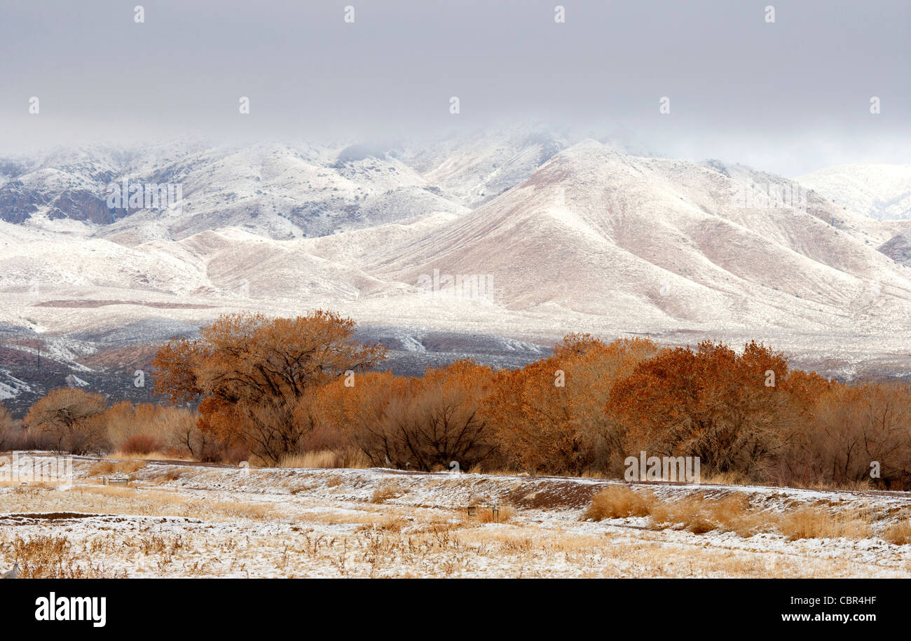 Bosque del apache nwr hi-res stock photography and images - Alamy