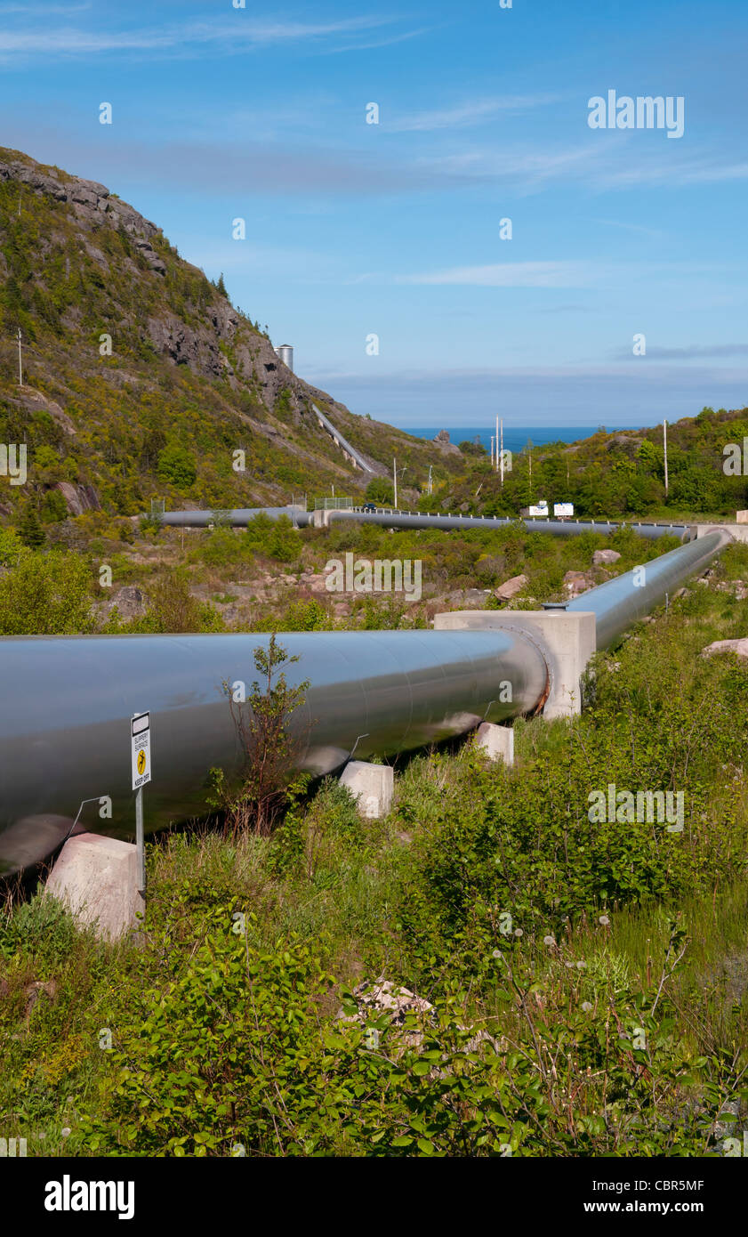 Petty harbour hires stock photography and images Alamy