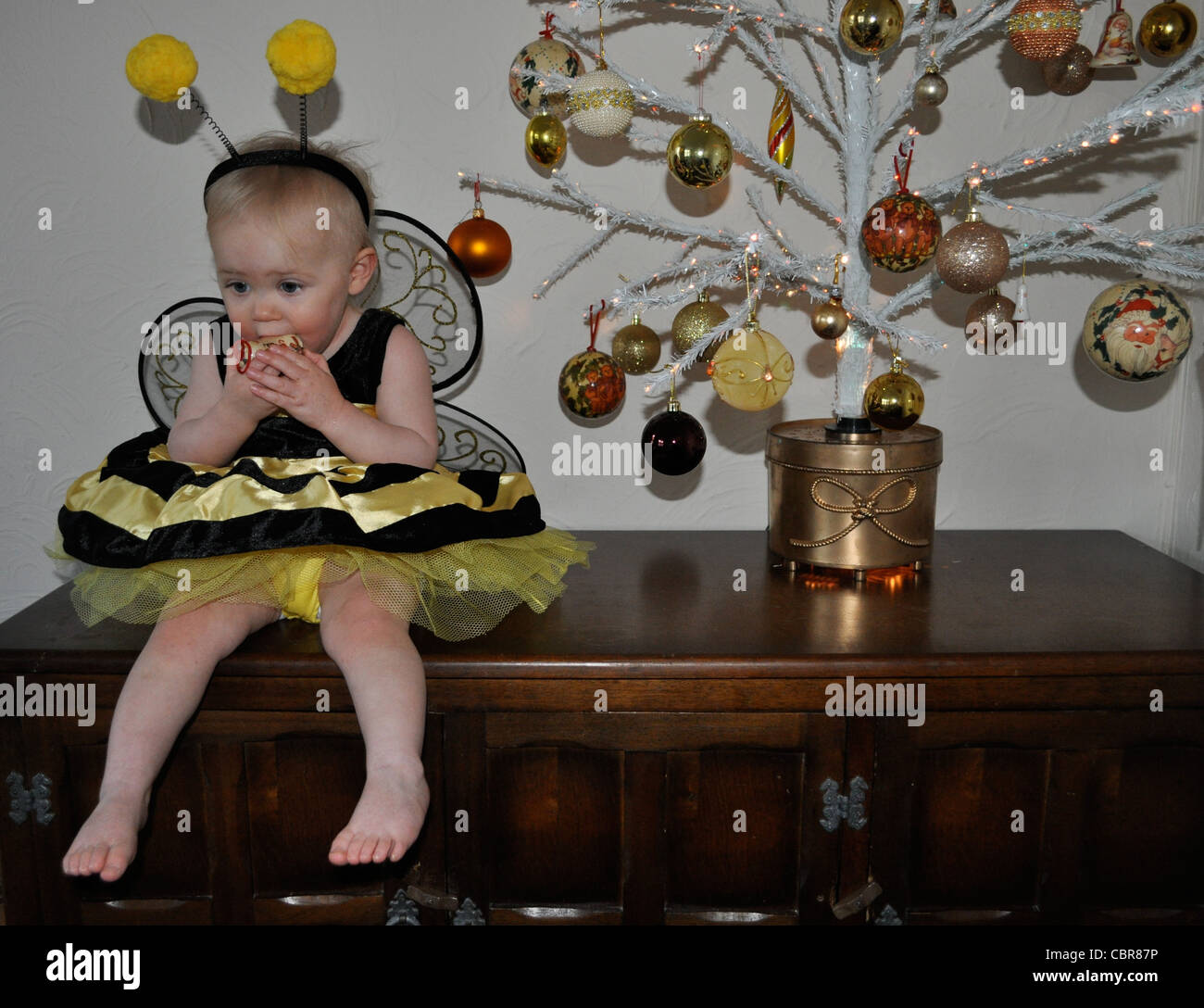 Cute baby girl at Christmas sucking Christmas tree bauble dressed in a bumble bee costume matching the tree. Bauble baby Stock Photo