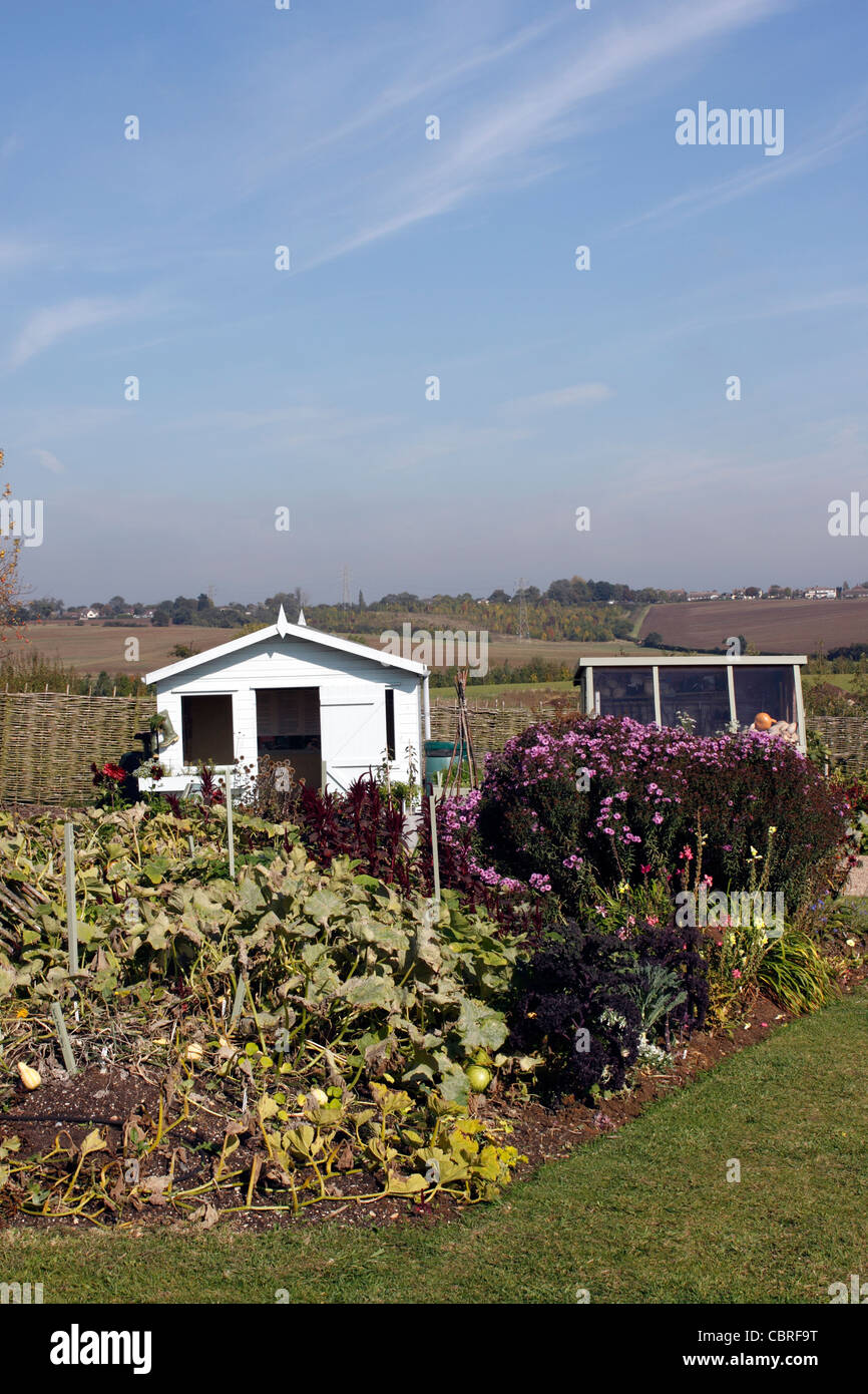 VEGETABLE GARDEN. ALLOTMENT. RHS HYDE HALL ESSEX. Stock Photo