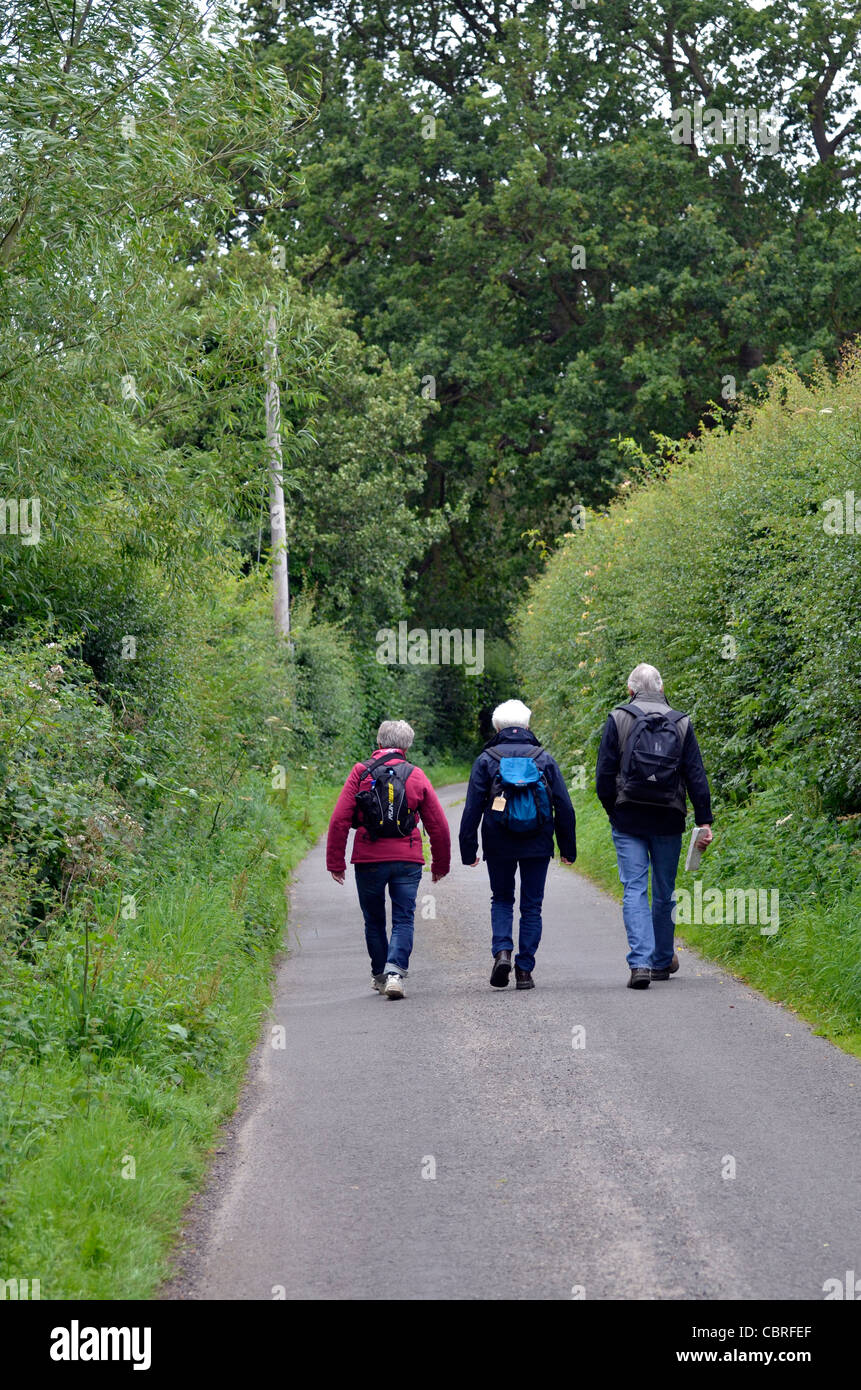 walkers in norfolk country lane Stock Photo