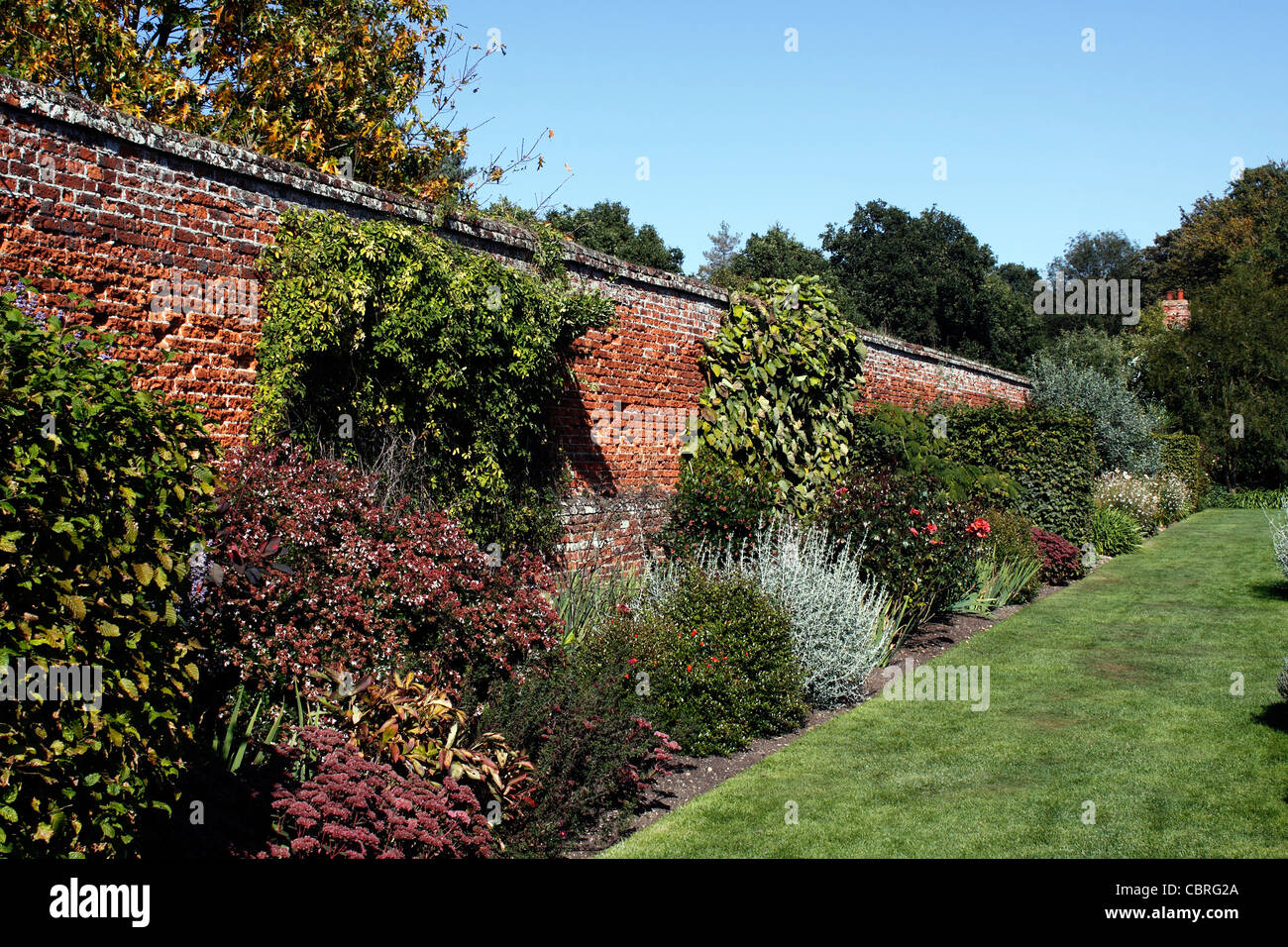 A SHRUBBERY IN AN HISTORIC WALLED ENGLISH COUNTRY GARDEN. Stock Photo