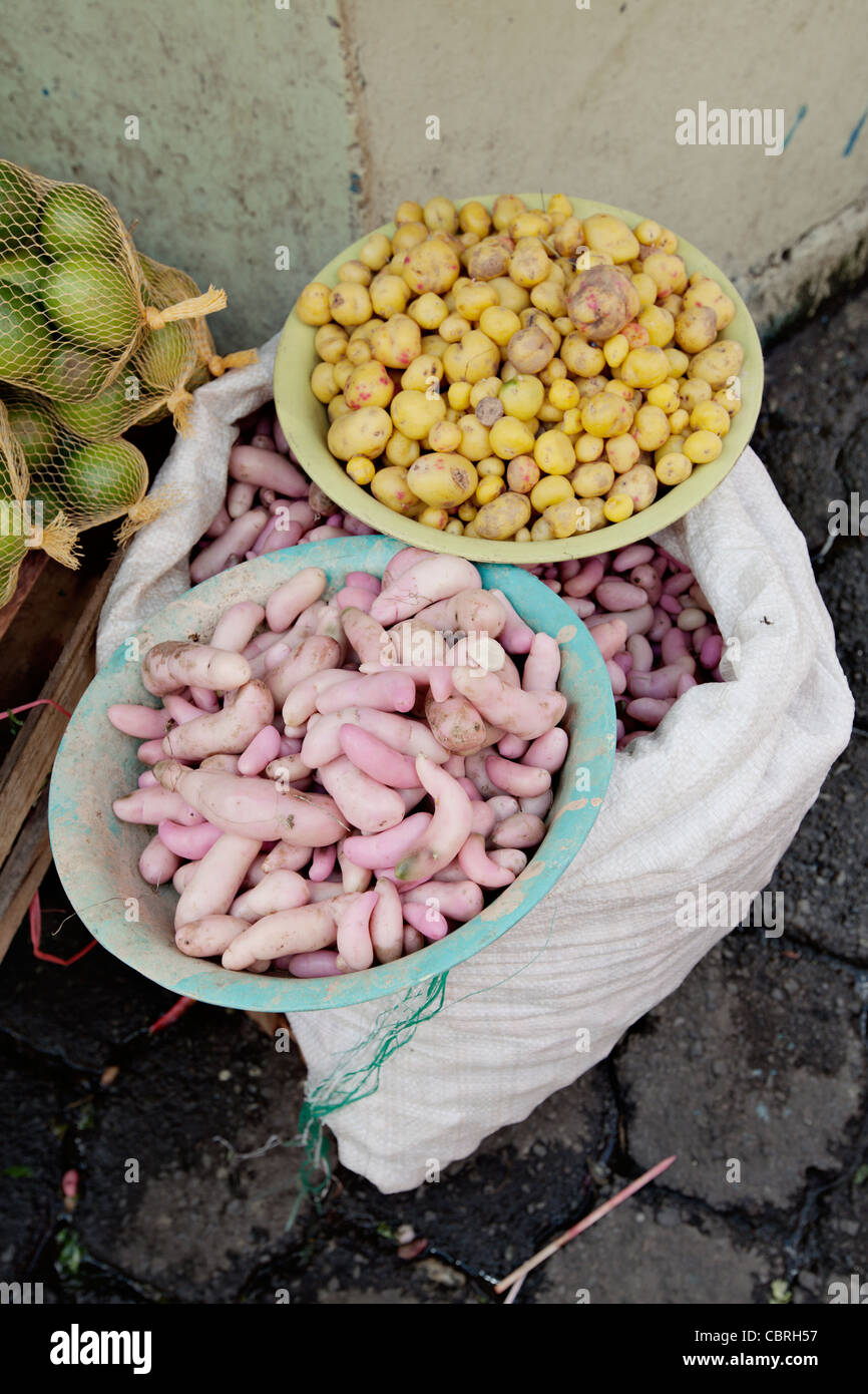 Local potato for sale at Otavalo food market, Ecuador Stock Photo Alamy