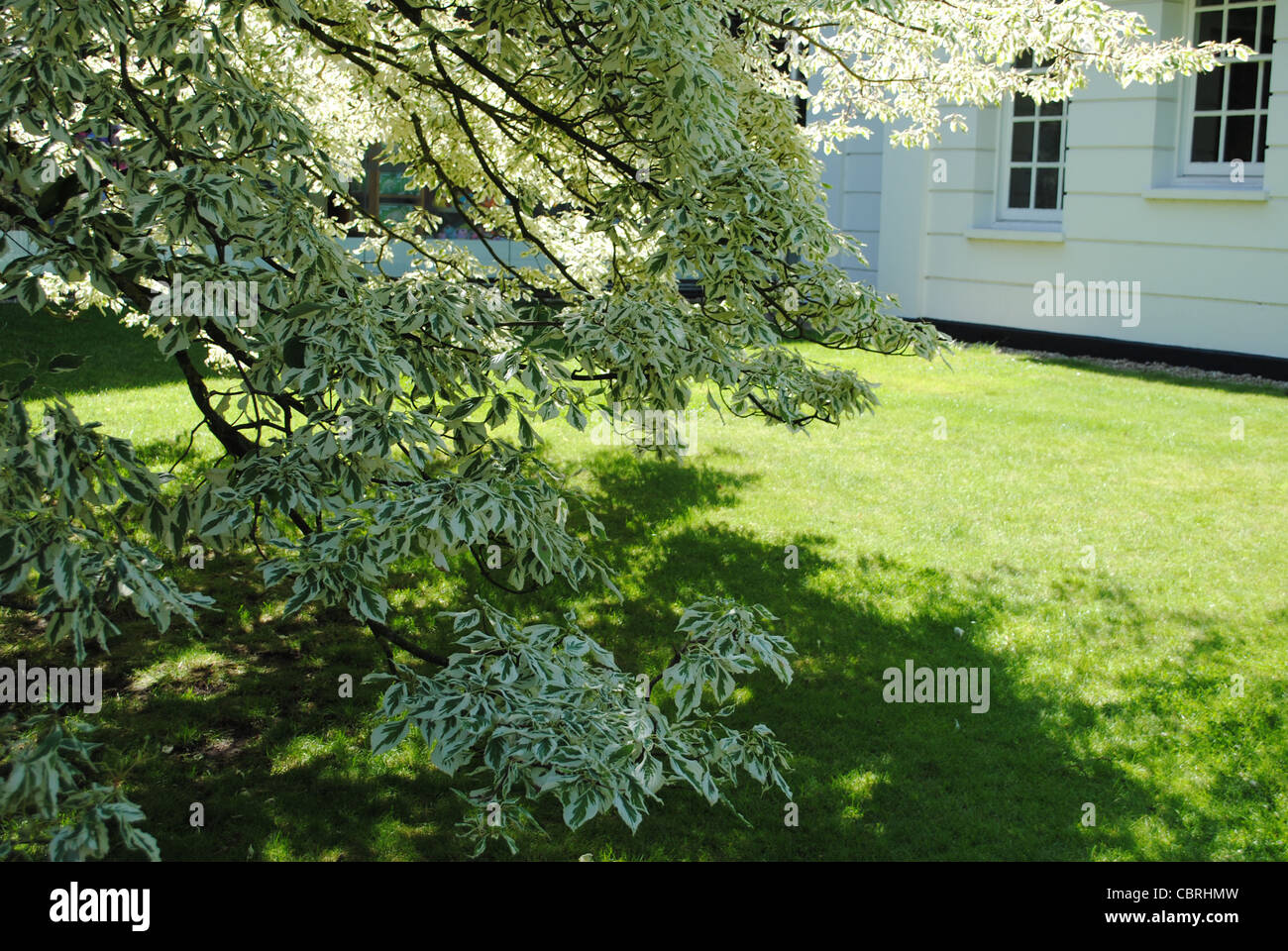 Summer house in park hi-res stock photography and images - Alamy
