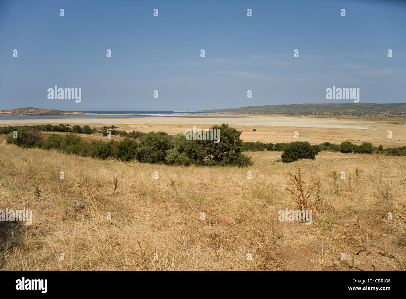 Looking towards Suvla Bay and the Salt Lake from Chocolate Hill scene