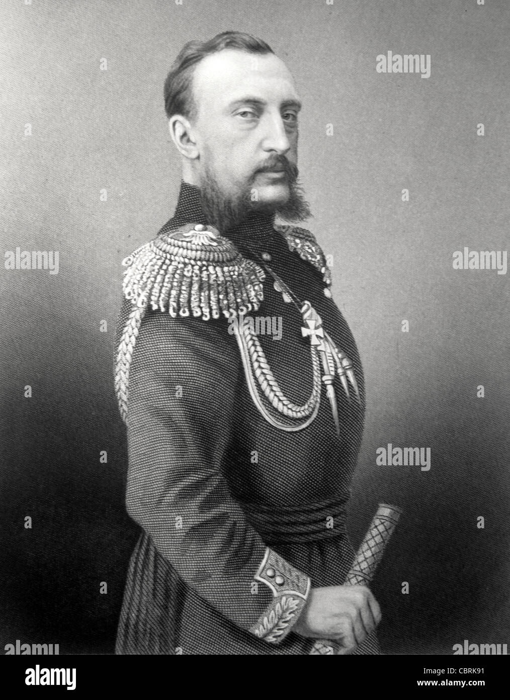 Portrait Grand Duke Nicholas Nikolaevich of Russia (1831-1891 Stock ...