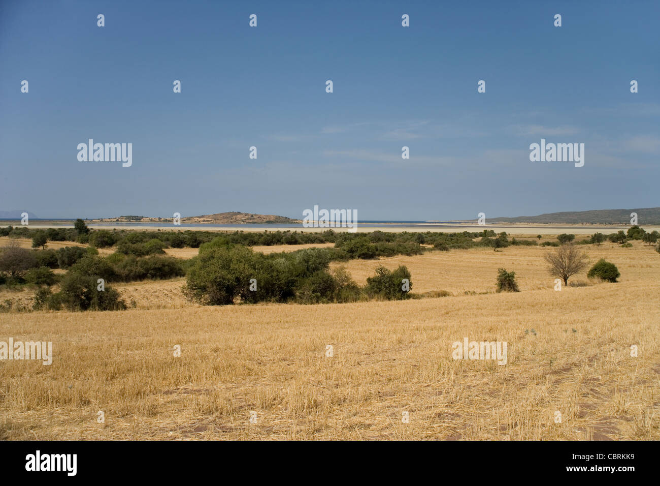 Chocolate hill gallipoli hires stock photography and images Alamy