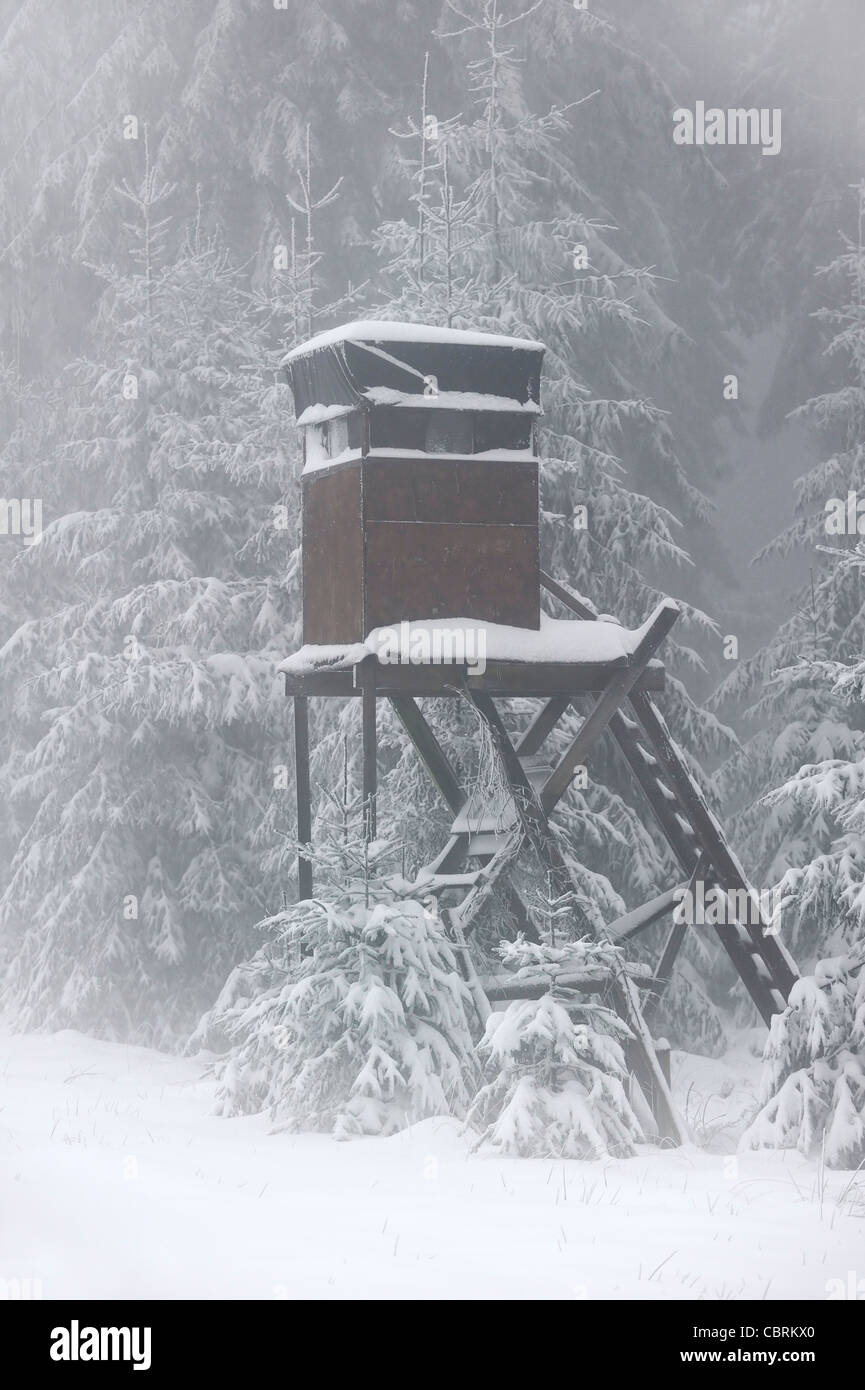 Raised stand / hide for hunting deer and wild boars in forest in the snow in winter, Ardennes, Belgium Stock Photo