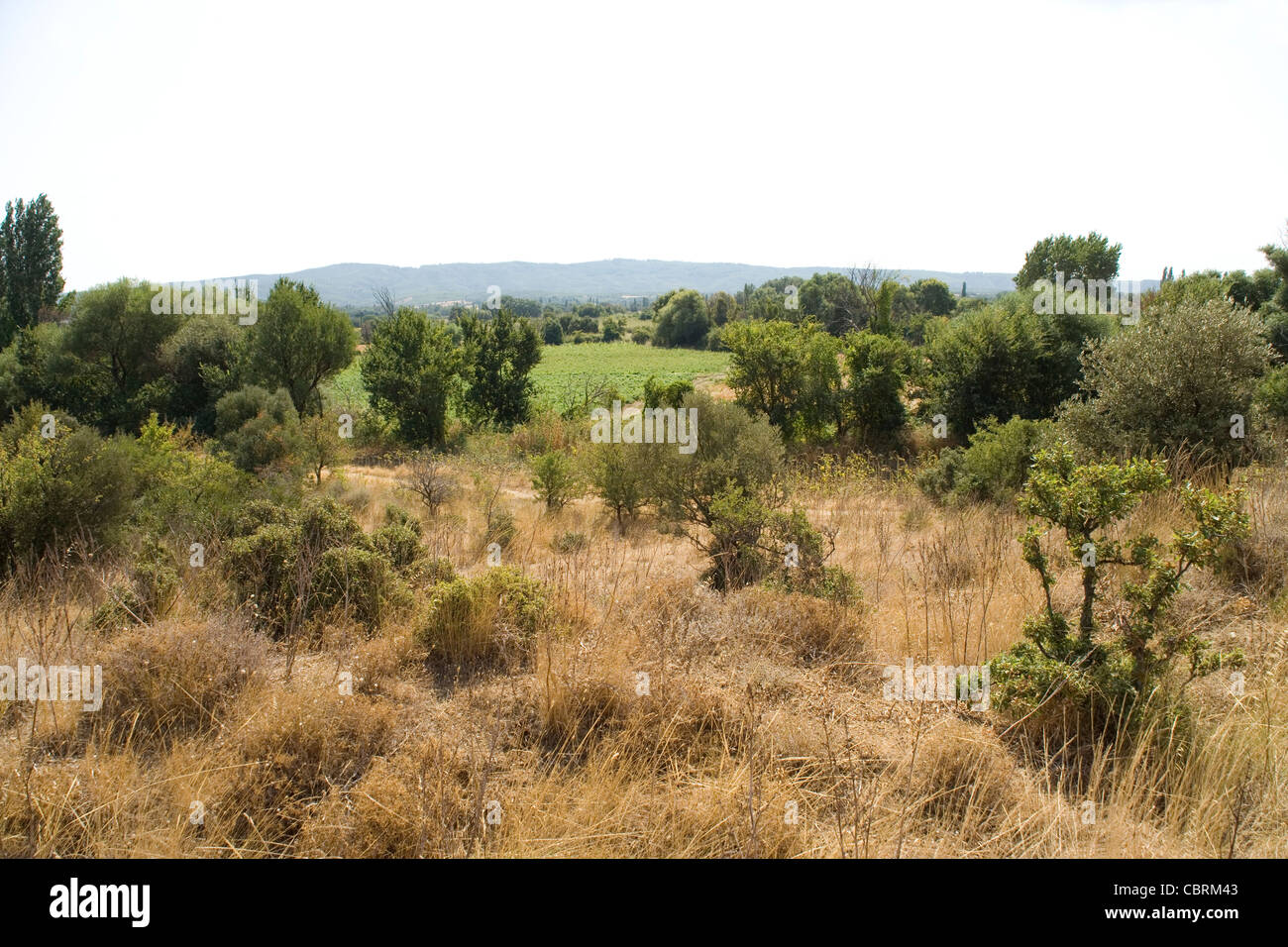 Looking towards Chunuk Bair and the New Zealand National Memorial from