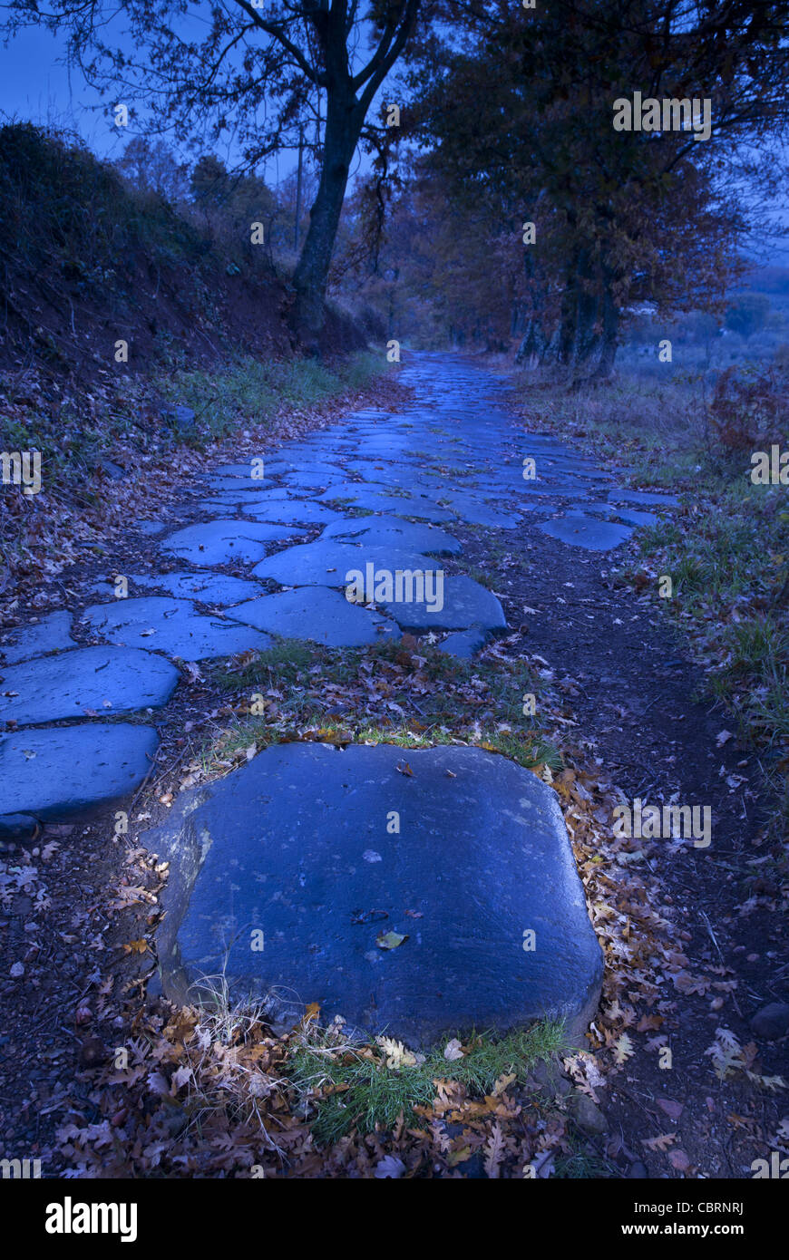 Ancient roman street (Via Cassia) in Italy Stock Photo Alamy