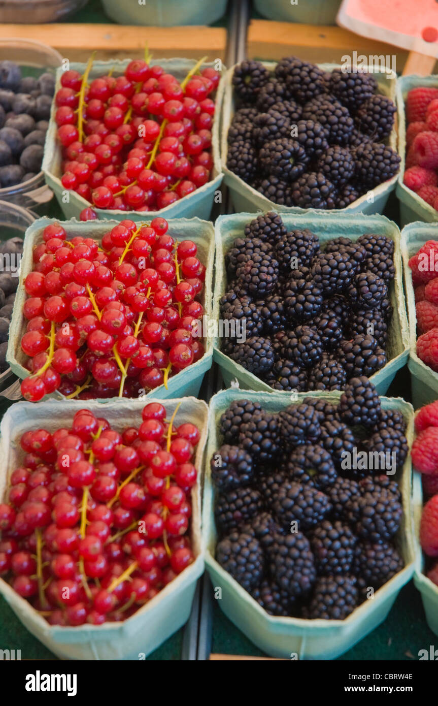 Rasperry High Resolution Stock Photography And Images Alamy