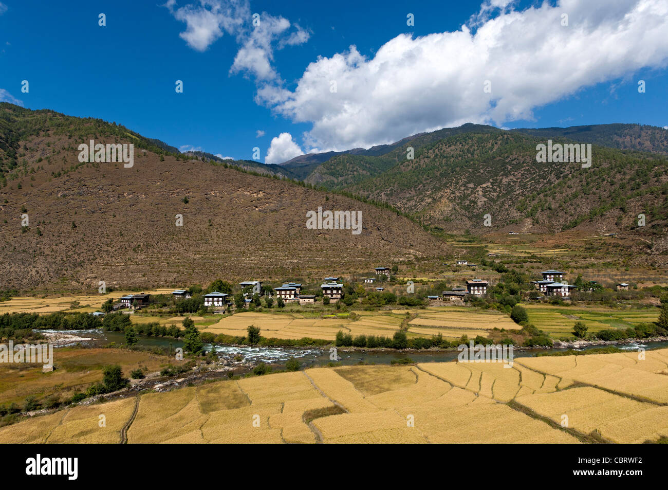 Landscape with paddy rice fields in the Paro valley, Bhutan Stock Photo