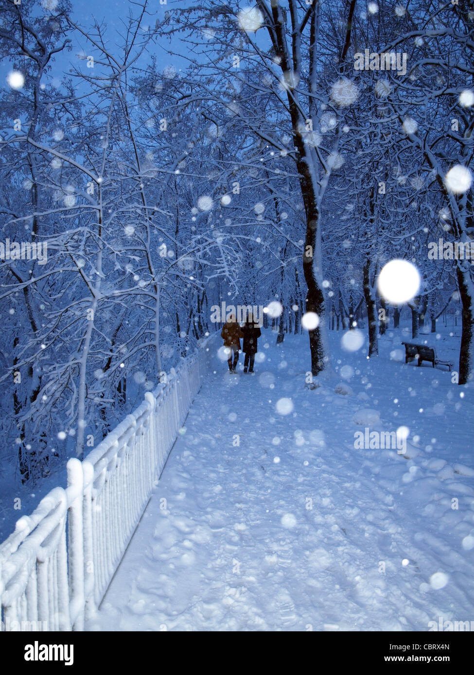 Alley in a park covered with snow and couple in walking in winter park ...