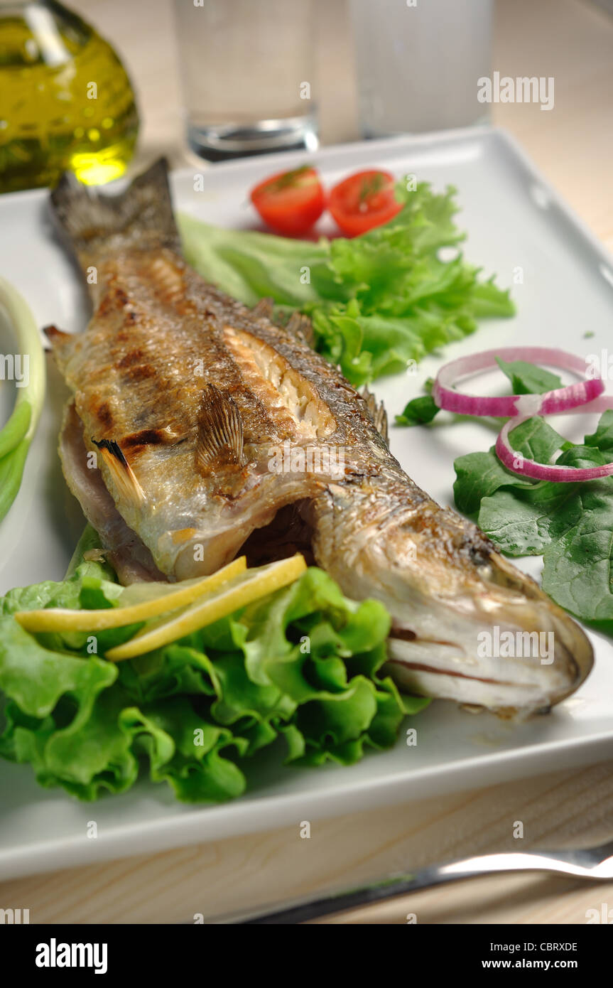 char grilled sea bass fish served with garnish and traditional Greek