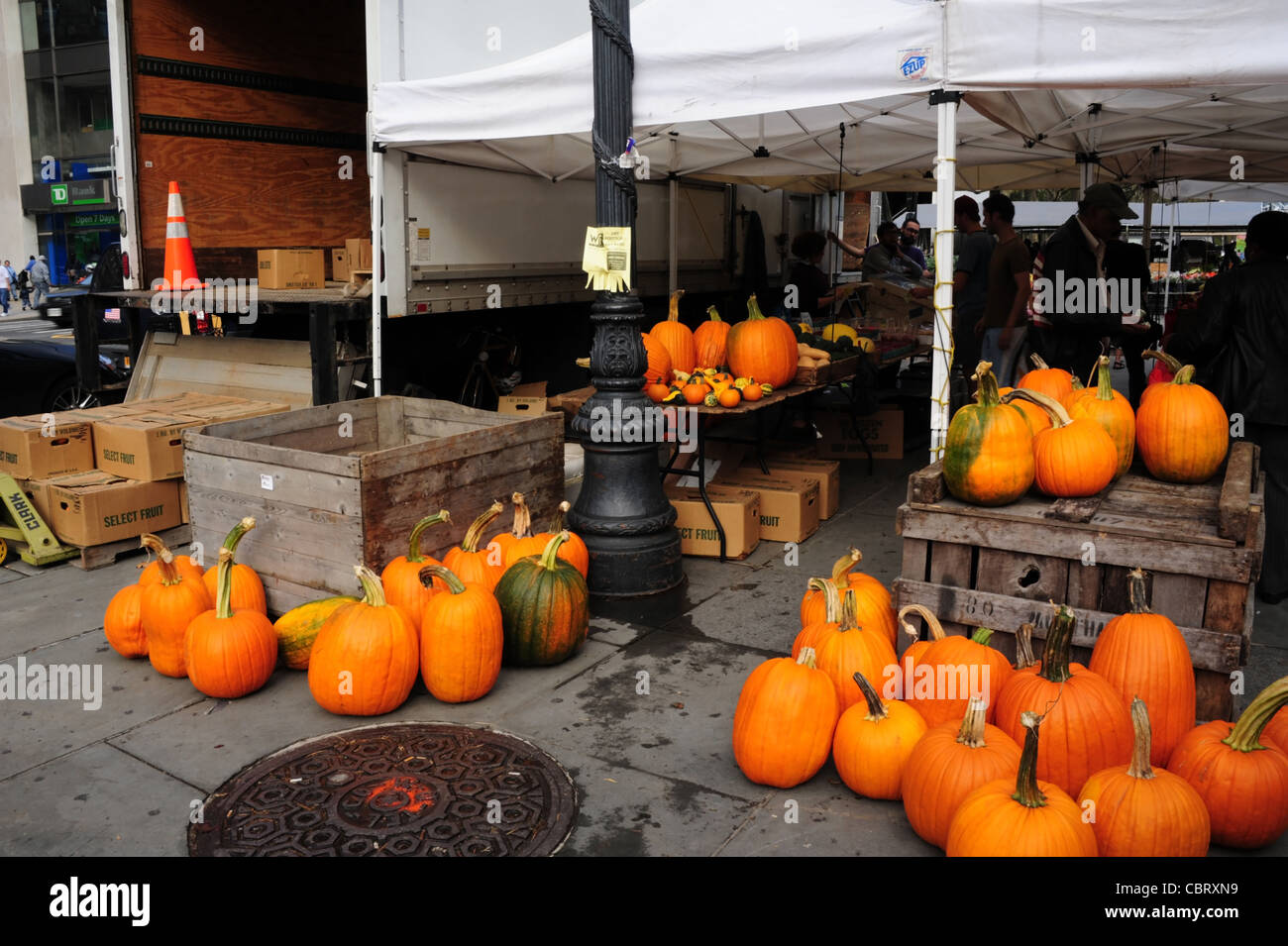 Orange pumpkins flagstones, man buying farm produce wooden crate stall