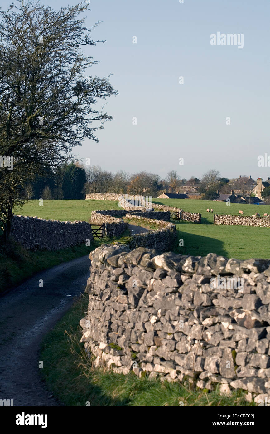 Footpath Bridleway bordered by limestone drystone walls Austwick Yorkshire Dales England Stock Photo