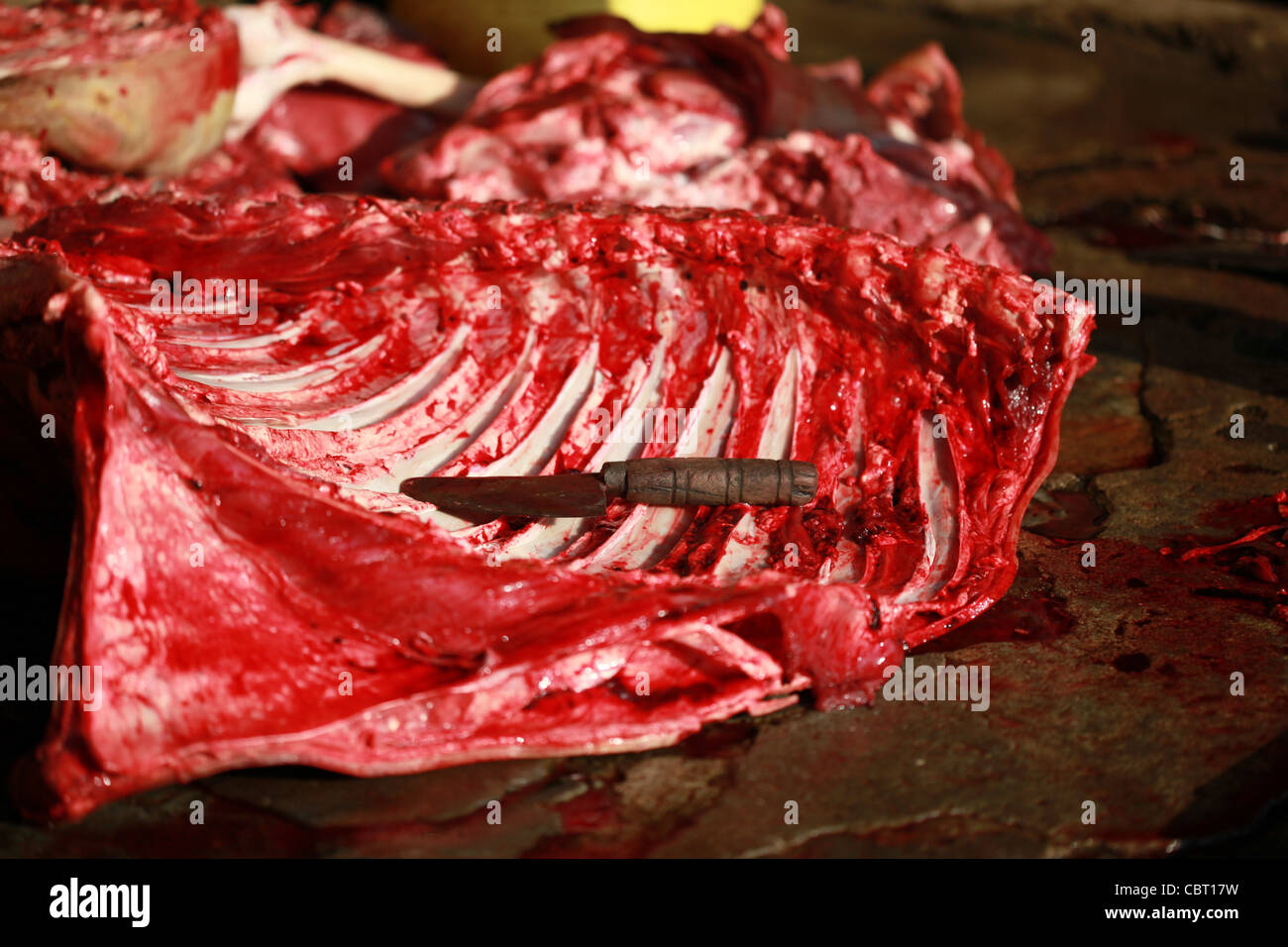 Bloody butchered animal carcass in hi-res stock photography and images -  Alamy