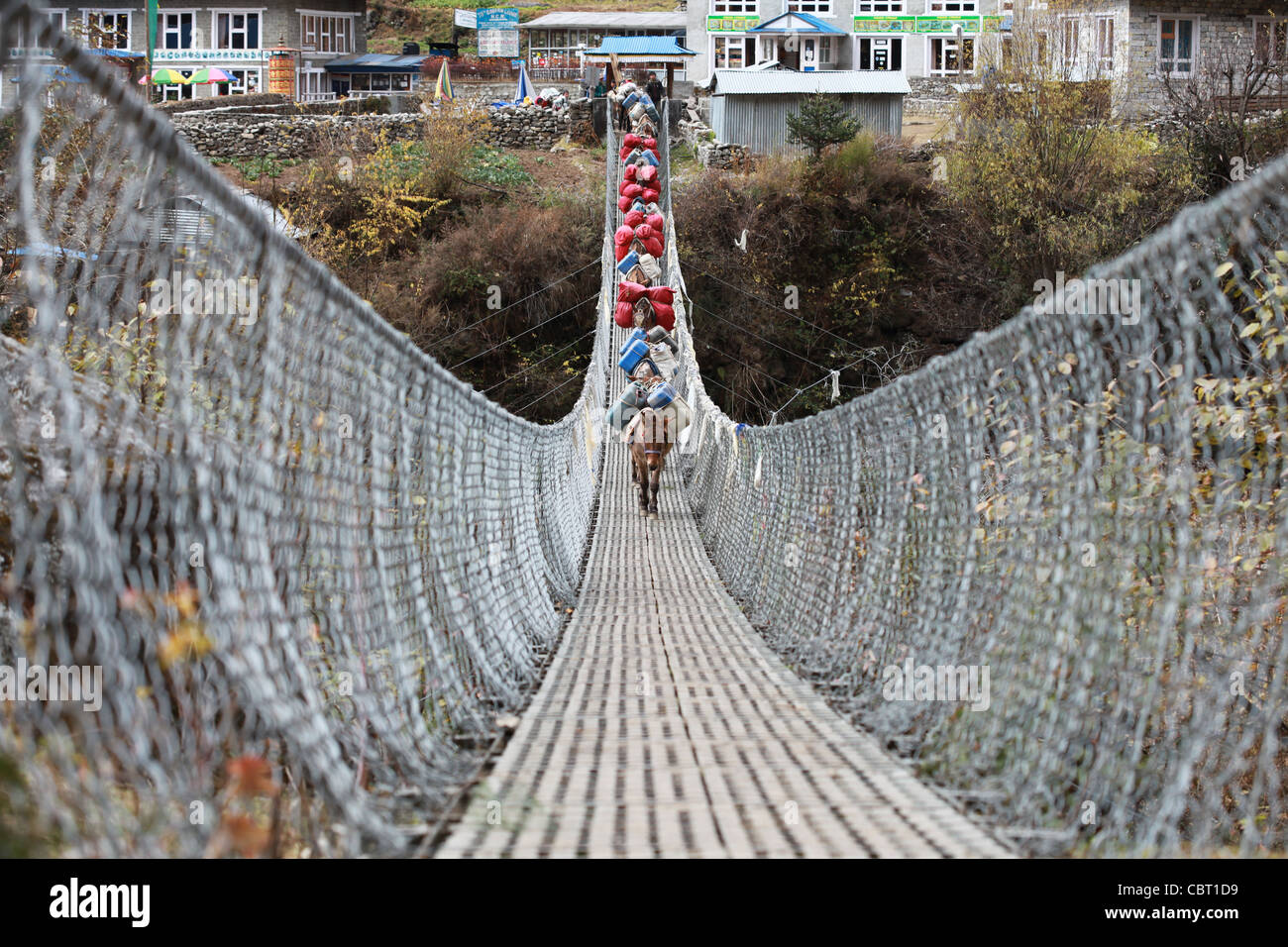 Suspension Bridge in the Nepali Himalayas Stock Photo - Alamy
