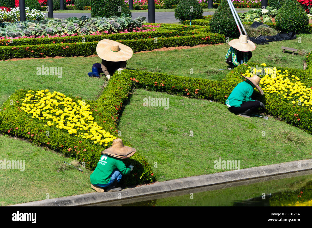 Gardeners with huge floppy hats doing landscape maintenance at Royal Flora Ratchaphruek in Chiang Mai Thailand Stock Photo