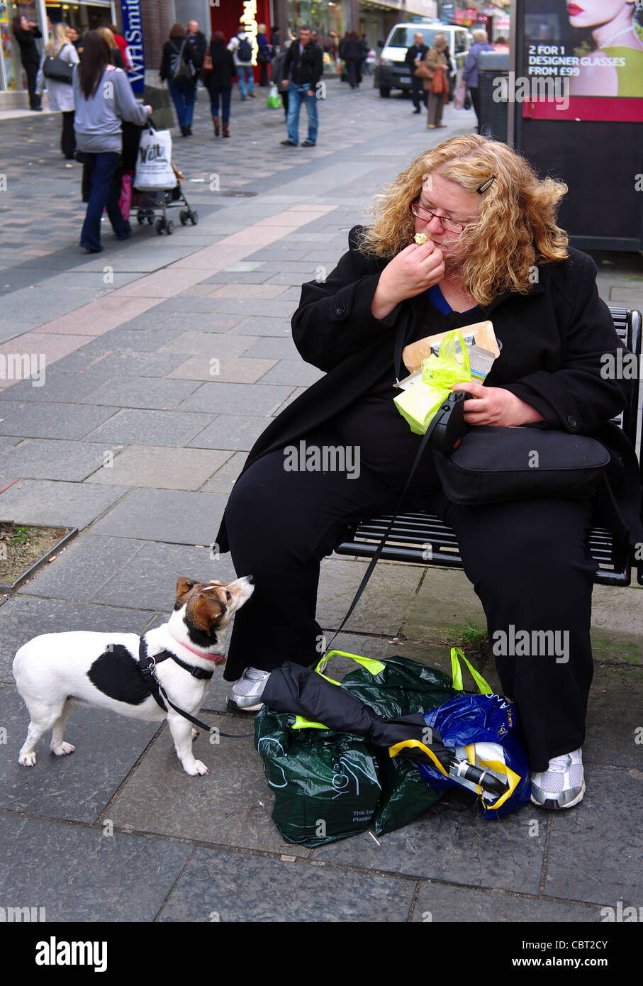 Woman sitting on a public bench in Sauchiehall Street, Glasgow eating a sandwich with her small dog looking on. Scotland, UK, Stock Photo