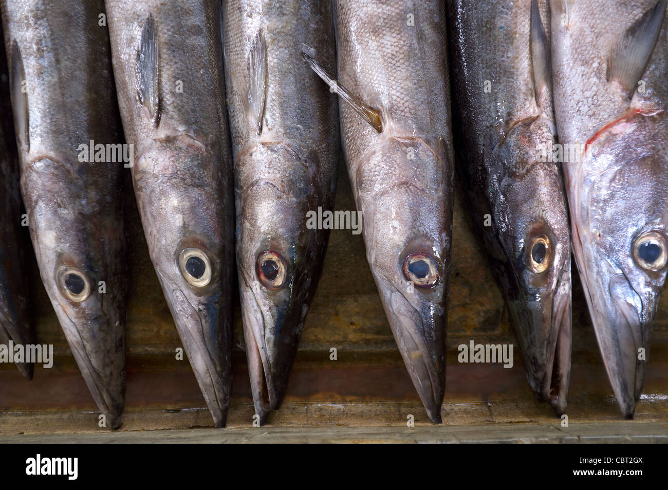 Freshly caught fish in a box prepared for sale, Victoria fish market