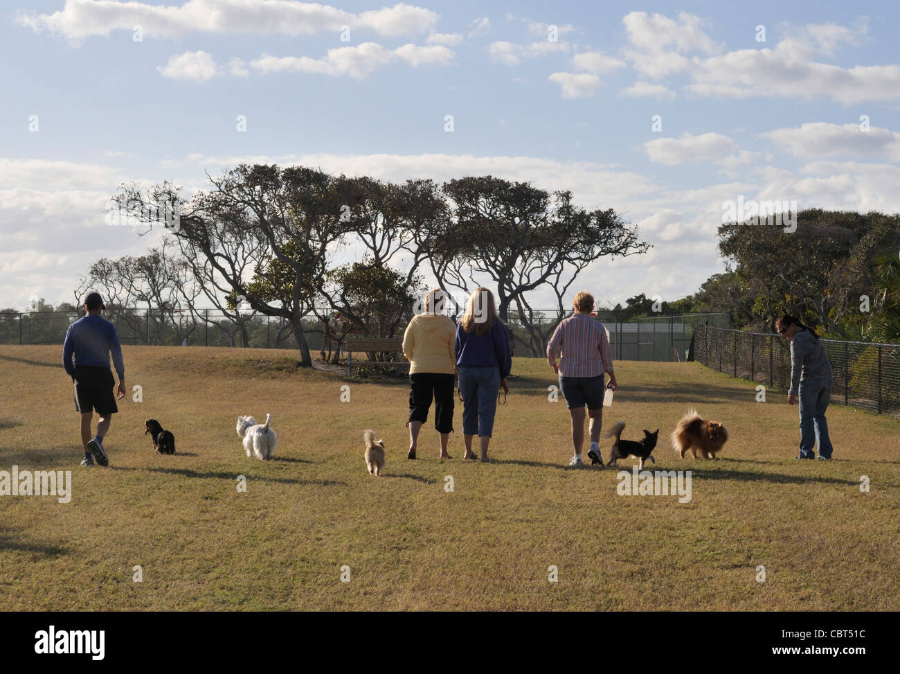 Dogs enjoying the Bicentennial park dog park in Ormond Beach, Florida