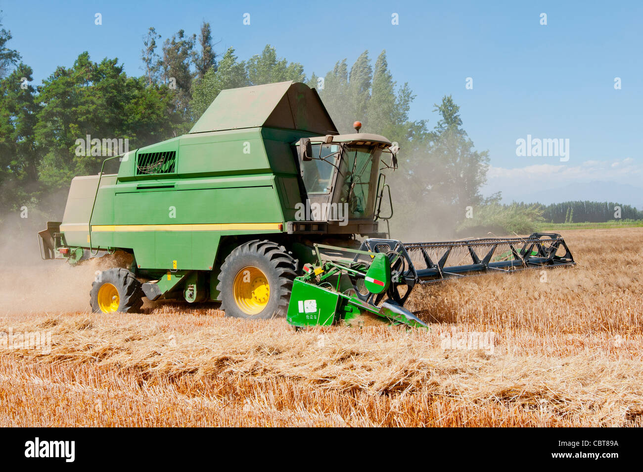wheat harvesting machine in full work Stock Photo Alamy