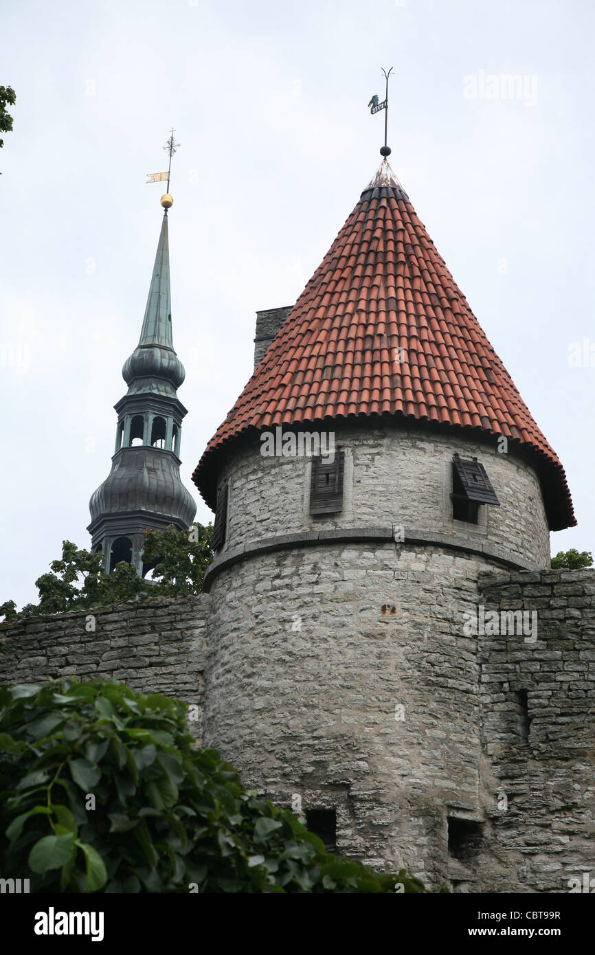 Estonia, Tallinn, old town. Stock Photo
