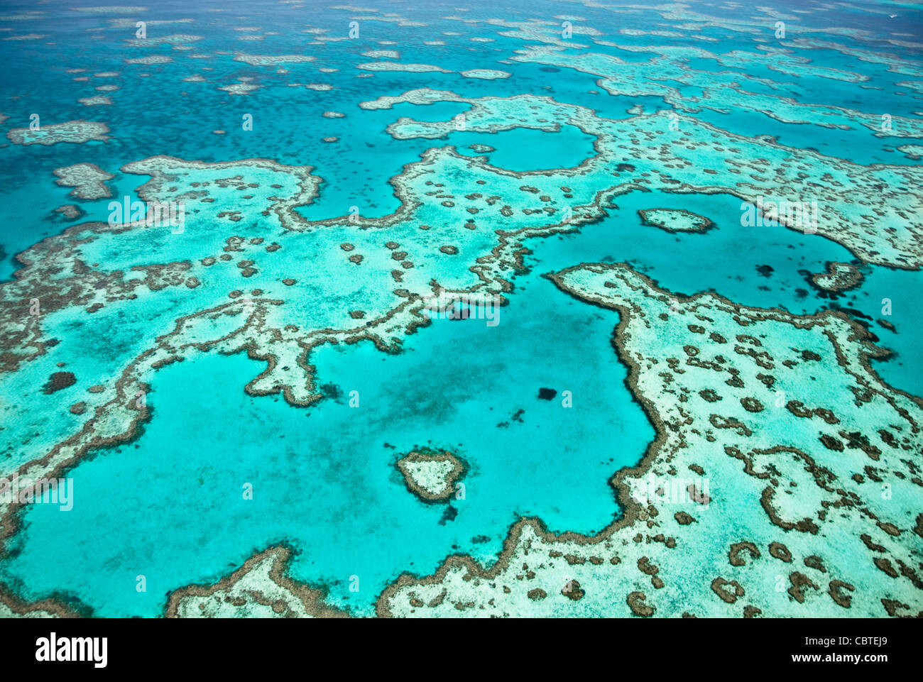 Aerial views of beautiful Heart Reef in the spectacular Great Barrier ...