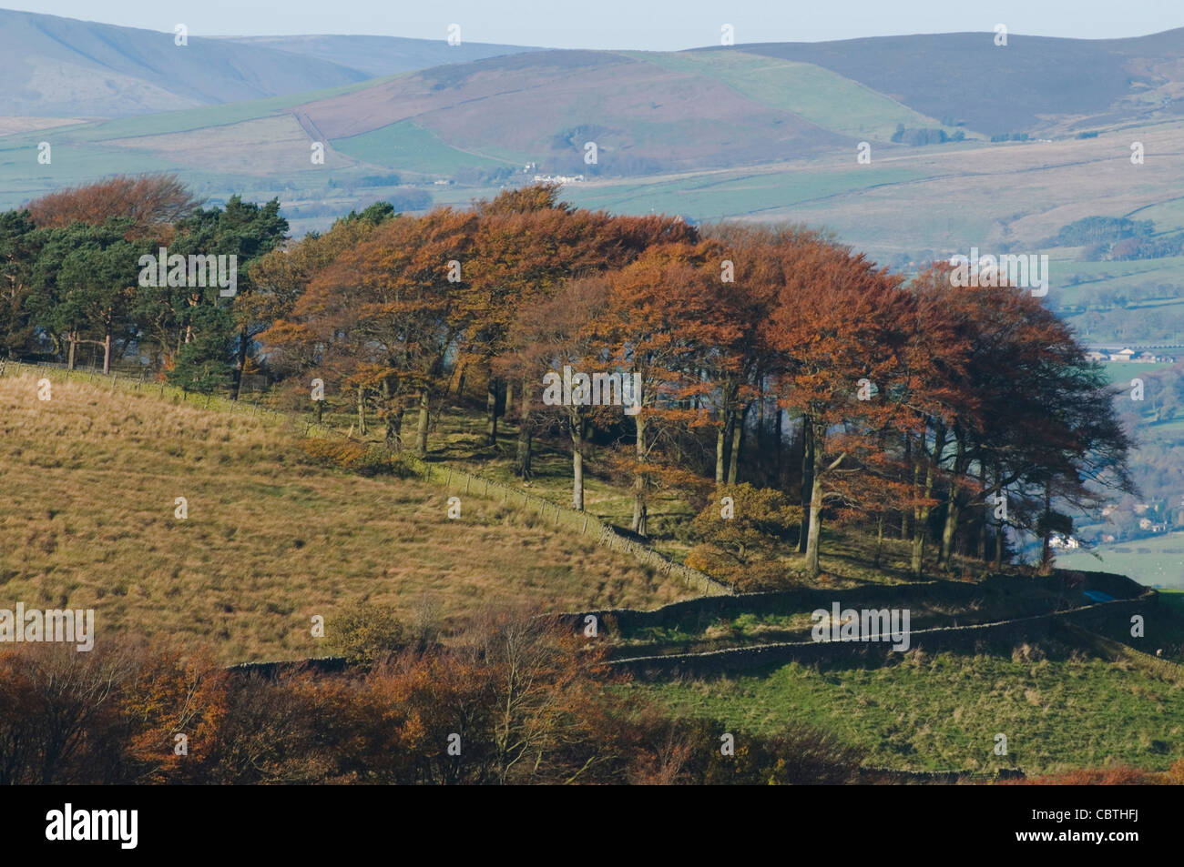 Trees hills and landscape near Pendle Hill Lancashire Stock Photo
