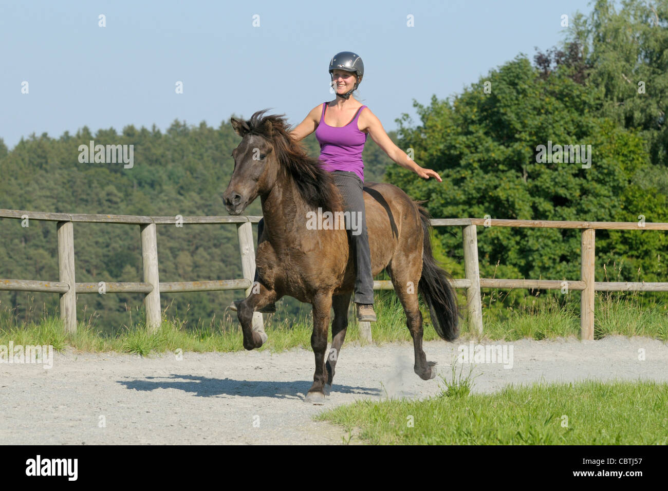 Young rider on back of an Icelandic horse riding tölt, with no saddle ...