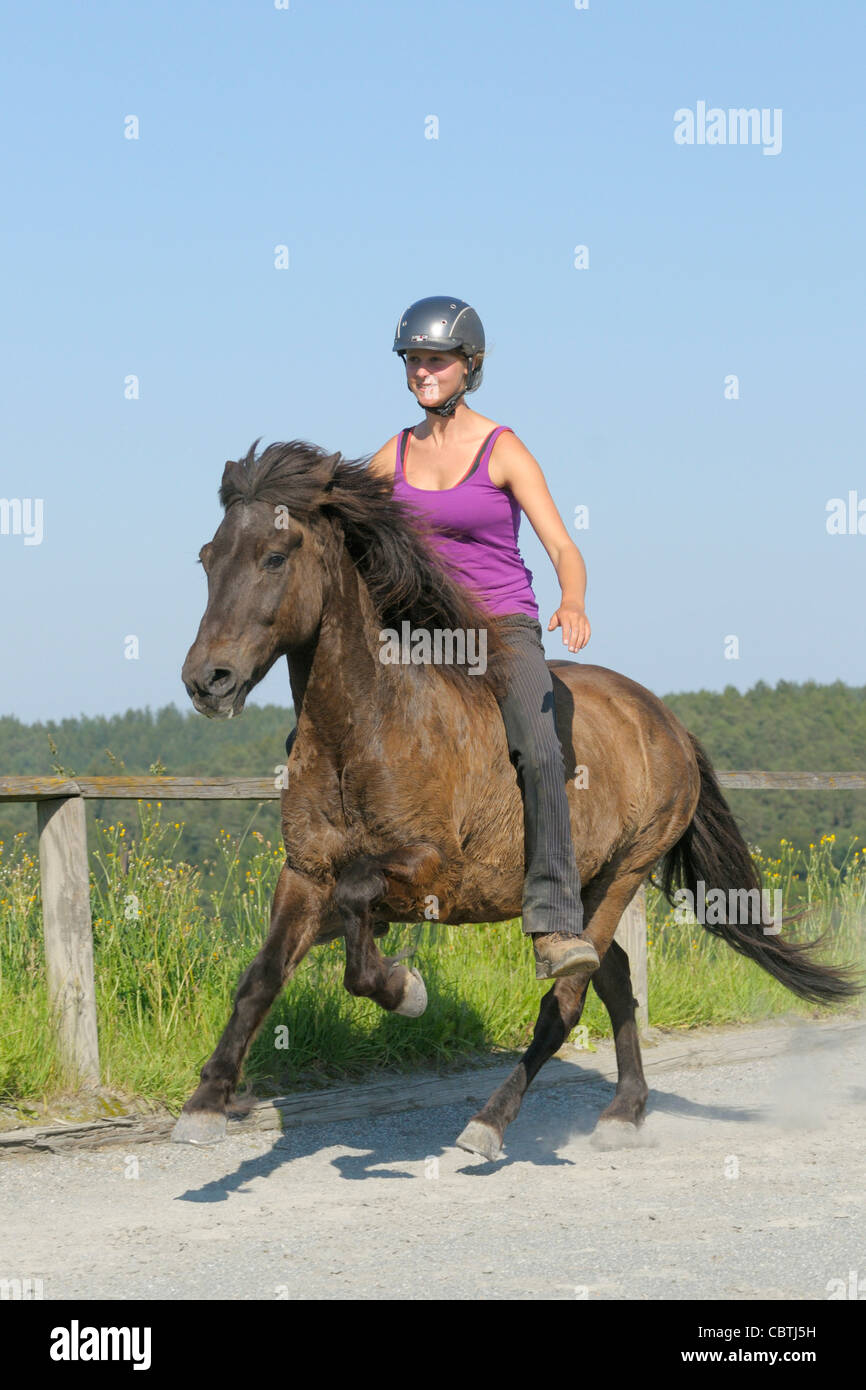 Young rider galloping bareback on an Icelandic horse, without saddle and no bridle Stock Photo