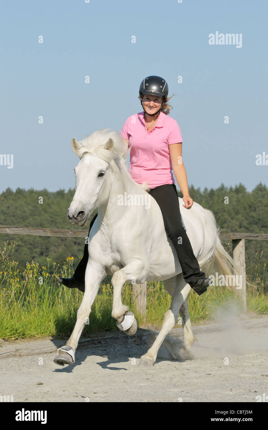 Young rider galloping bareback on an Icelandic horse, without saddle and no  bridle Stock Photo - Alamy