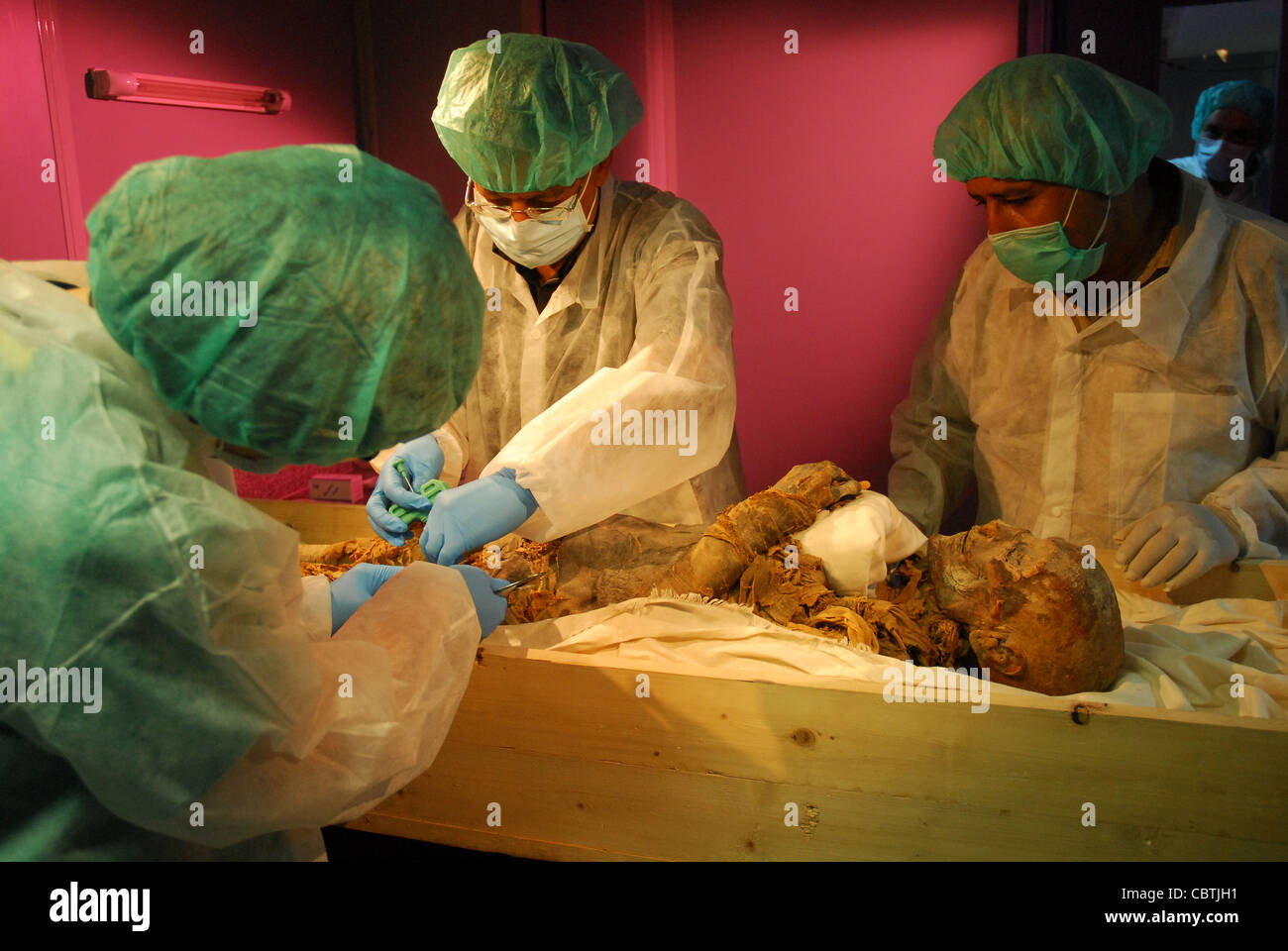 DNA tests on the Royal Mummy of Hatshepsut and her relatives Nefertari