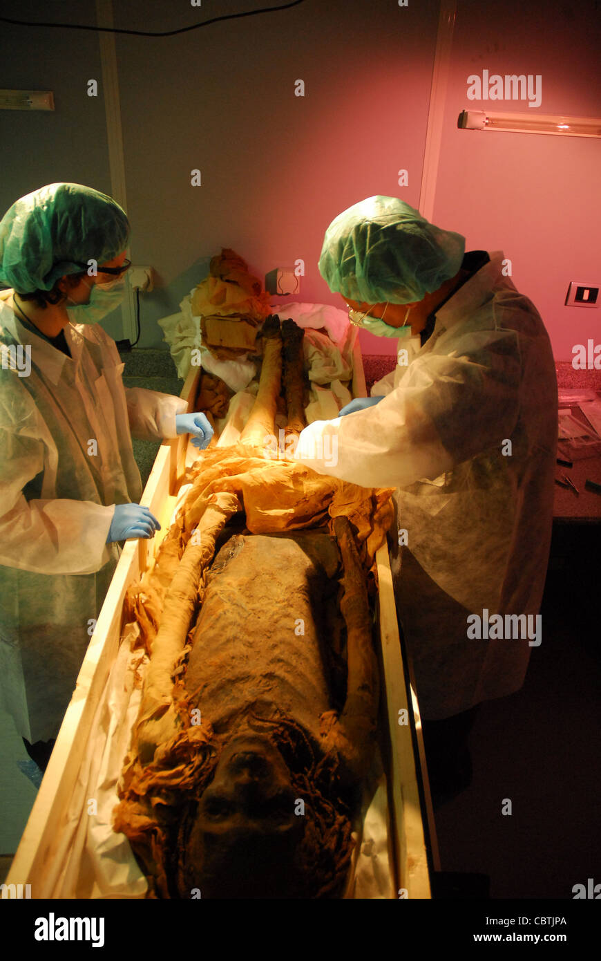 DNA tests on the Royal Mummy of Hatshepsut and her relatives Nefertari